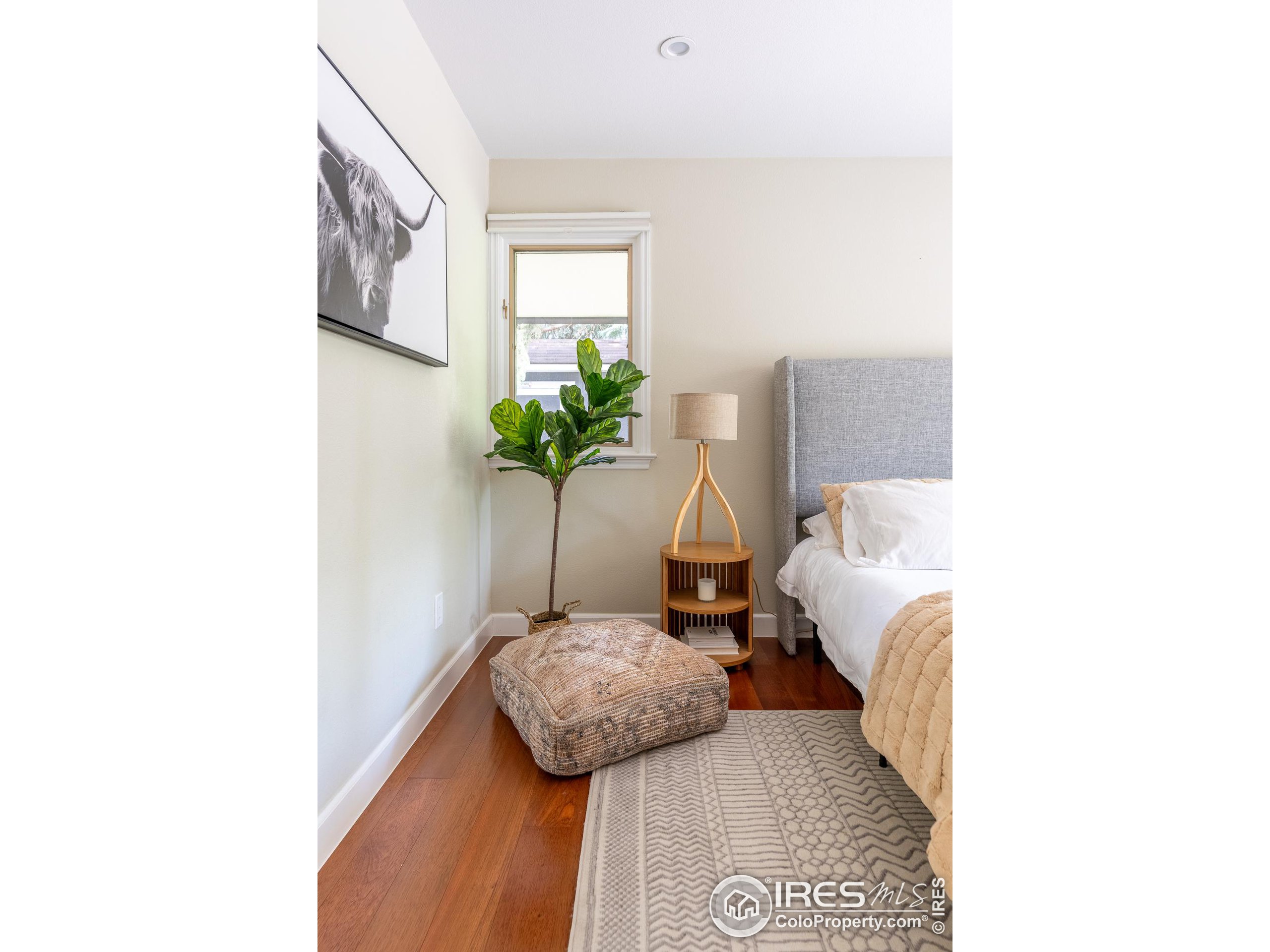 6997 Indian Peaks Trl