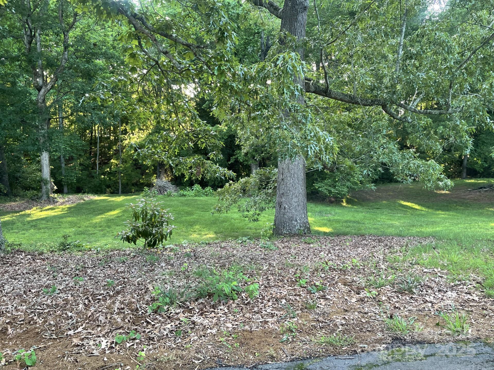 224 Locust Avenue