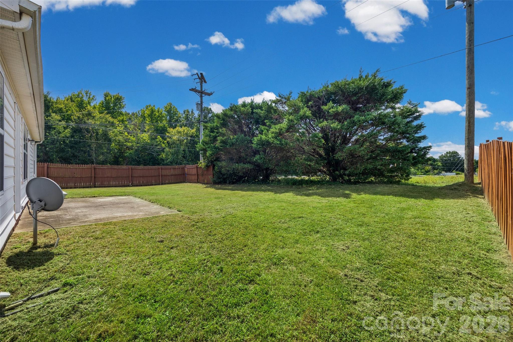 Backyard with a broad lawn, mature evergreen trees, wooden fencing, and a concrete patio.