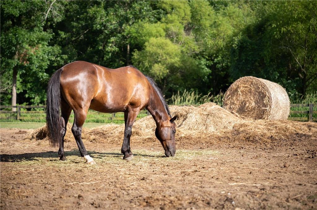 722 Brookshade Parkway