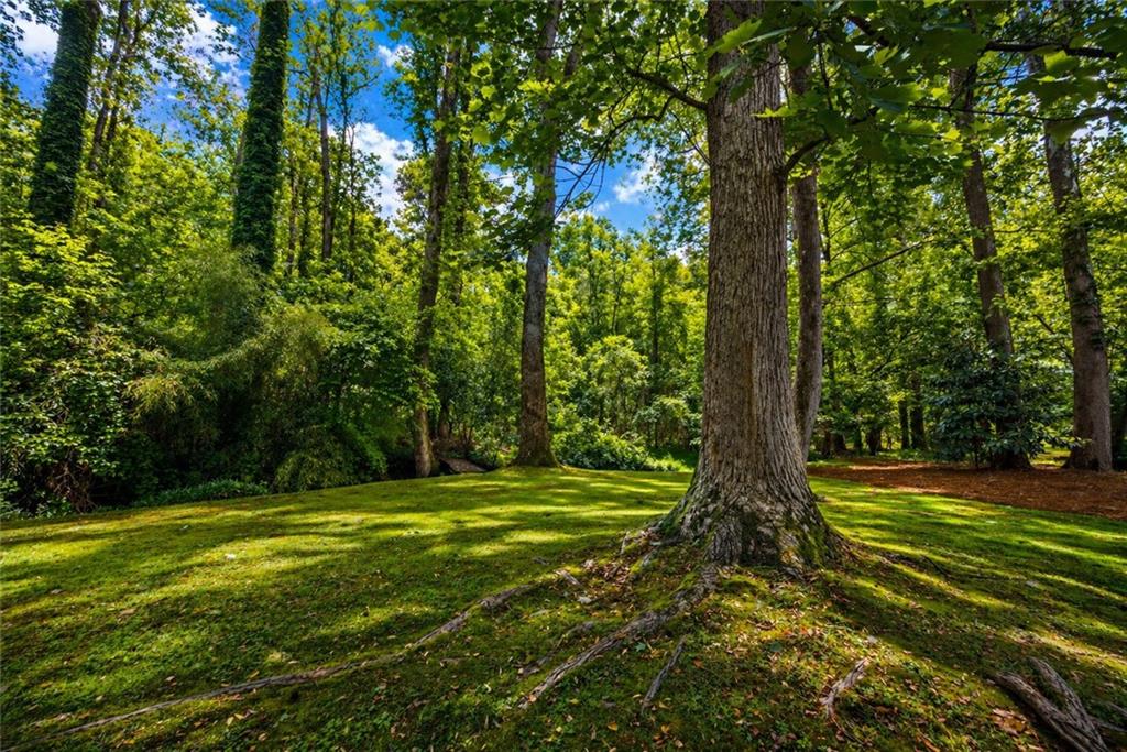 360 Barkshire Lane