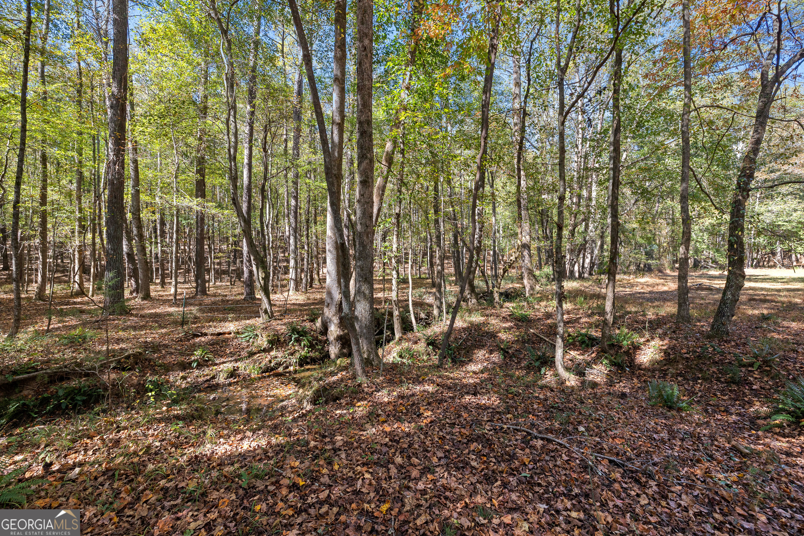 6535 Ridgeway Road, Franklin