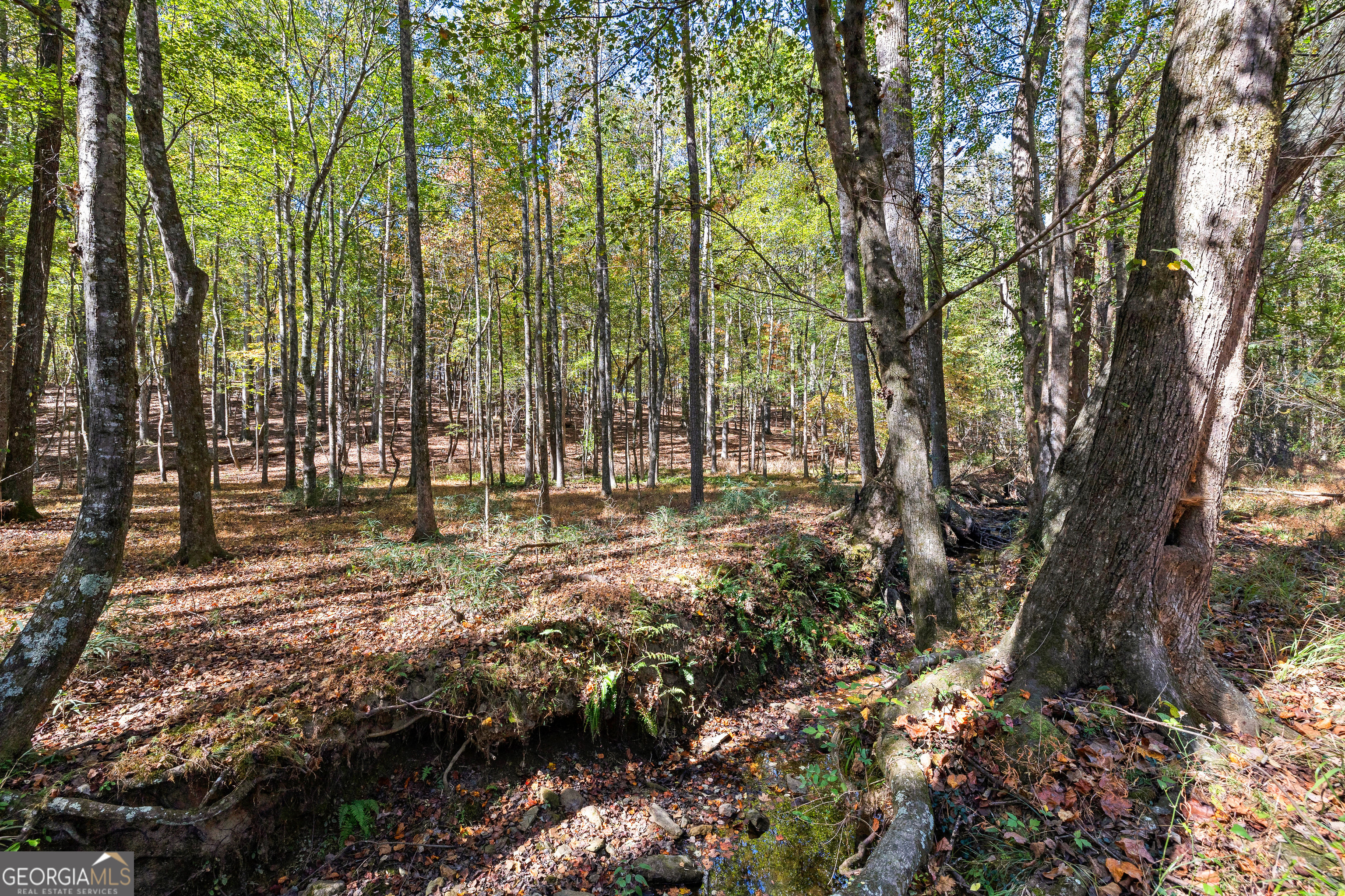 6535 Ridgeway Road, Franklin