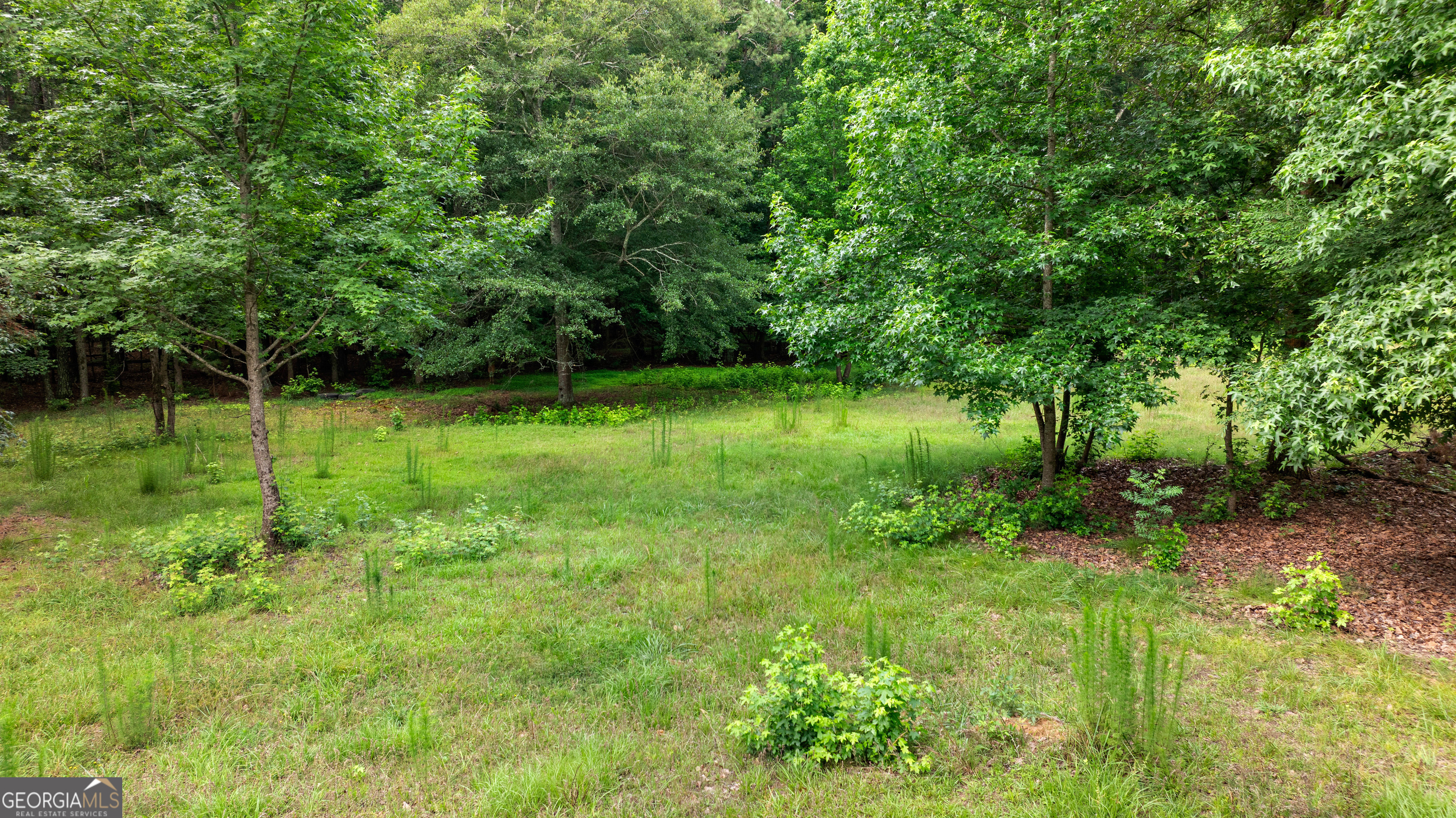 217 Lynn Drive