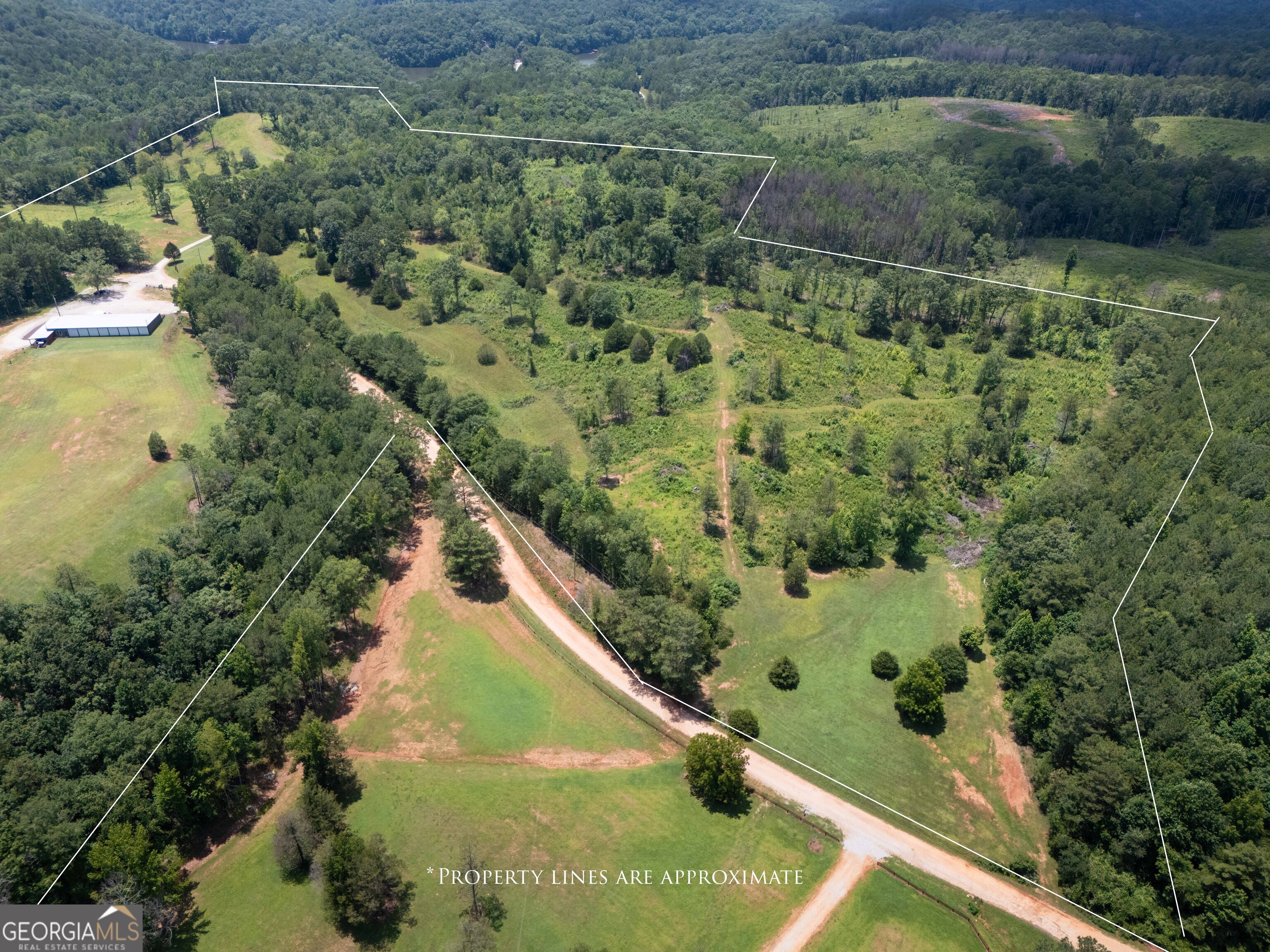1310 County Road 269