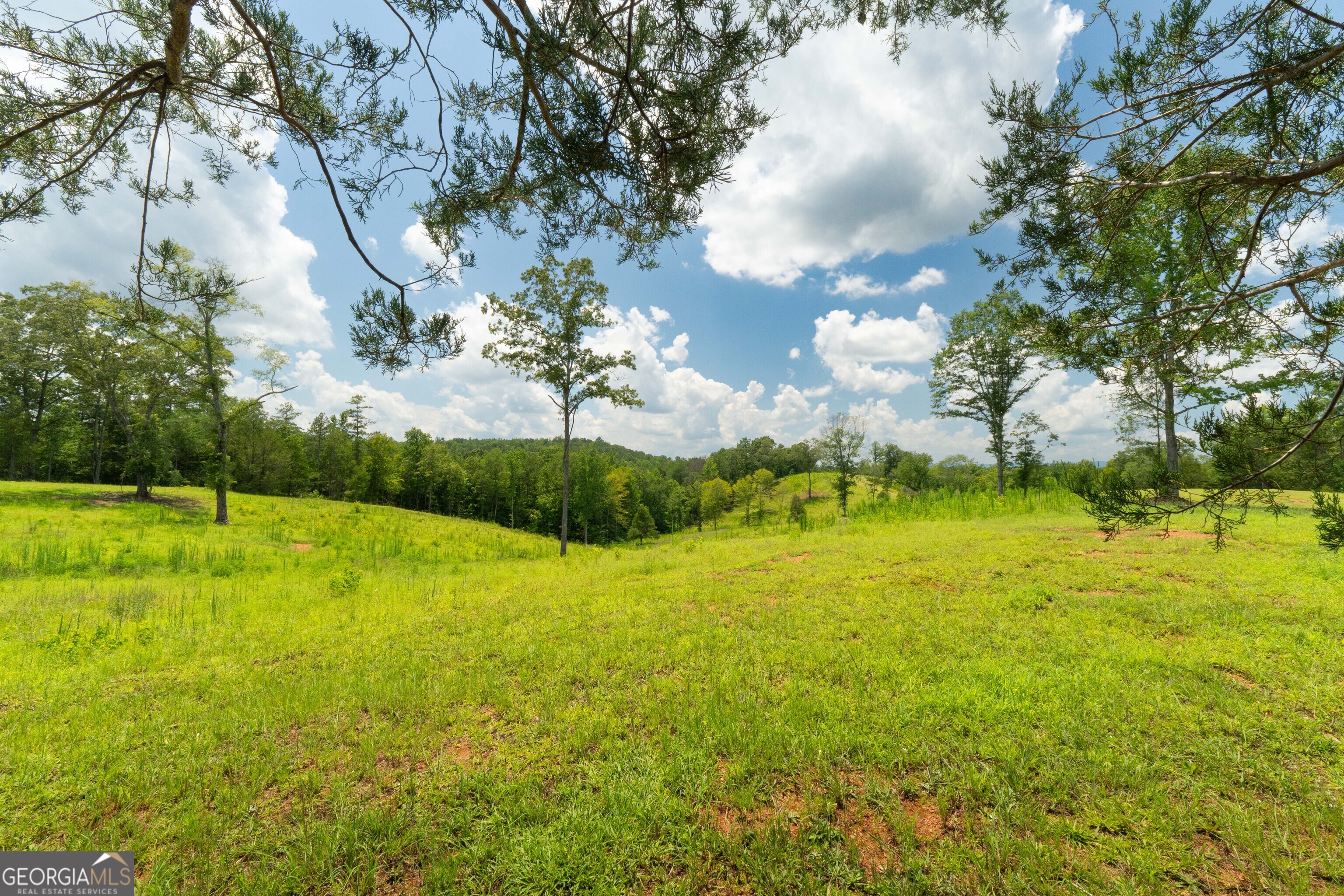 1310 County Road 269