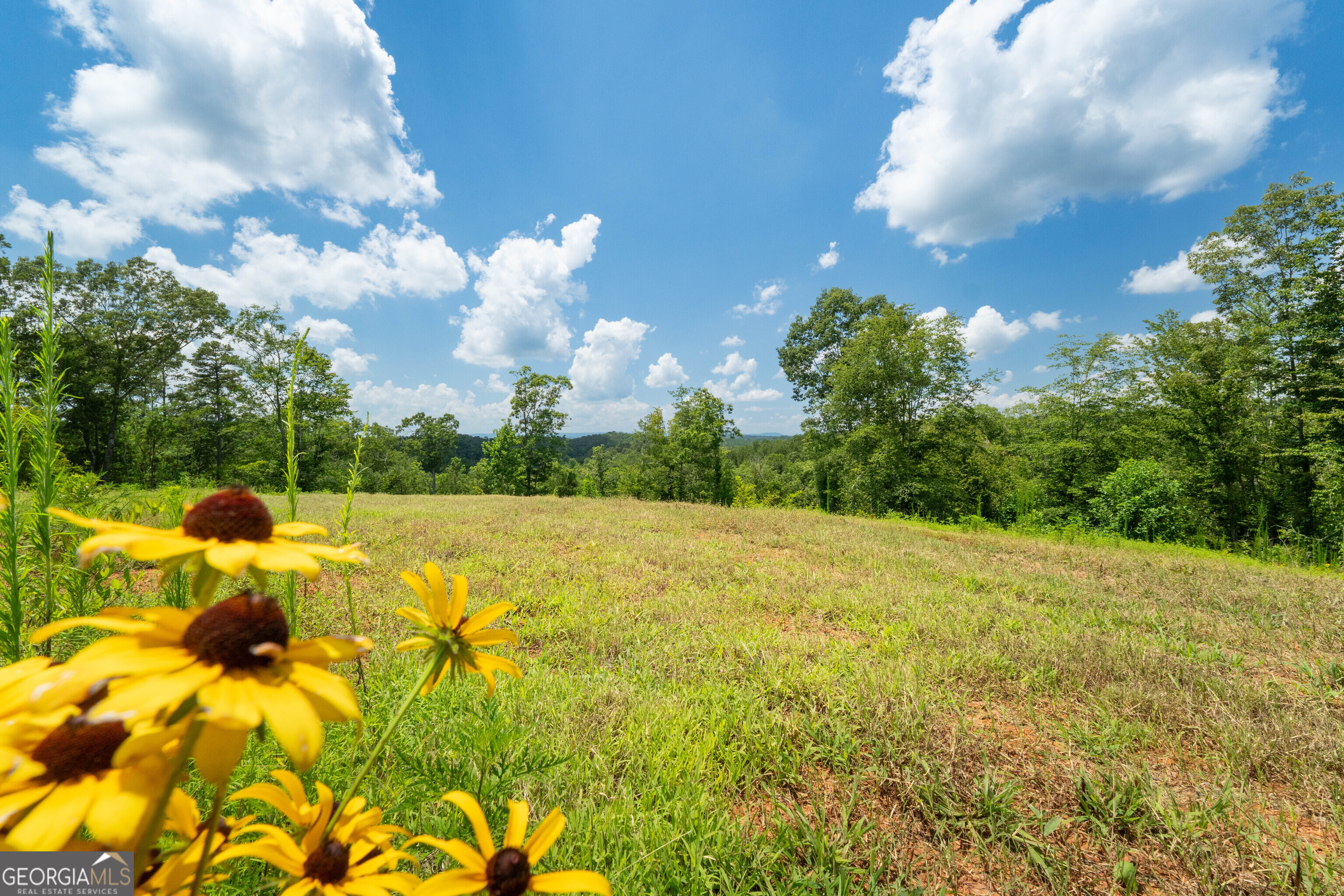 1310 County Road 269