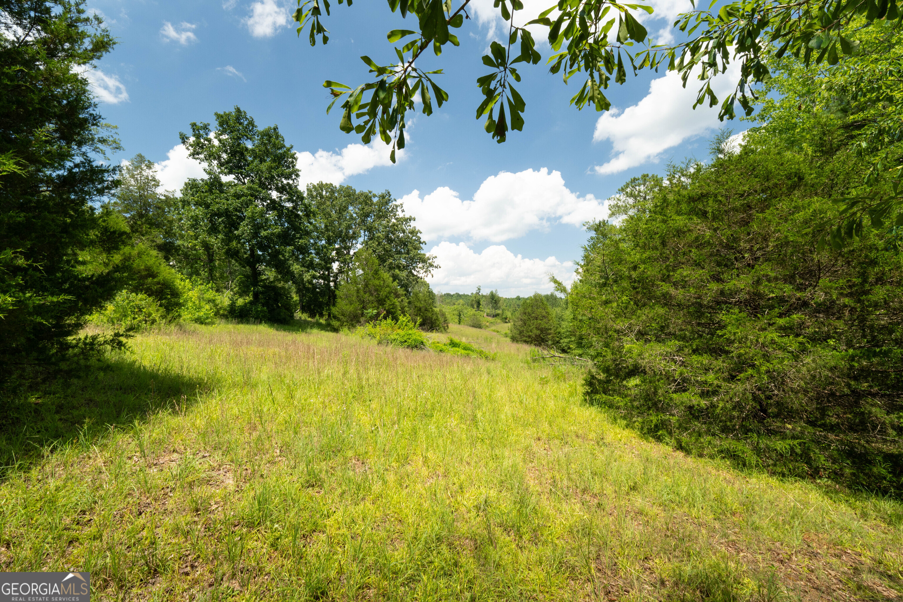1310 County Road 269