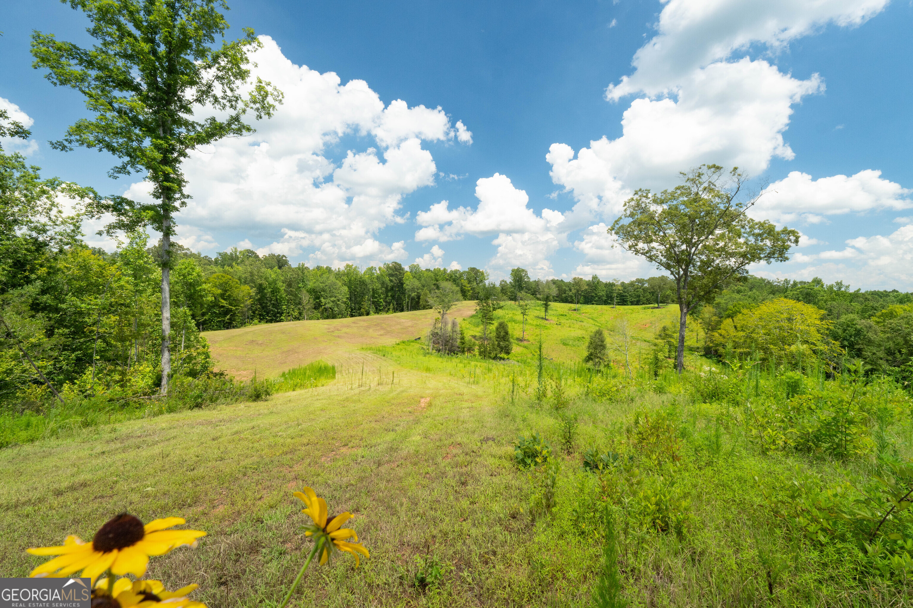 1310 County Road 269