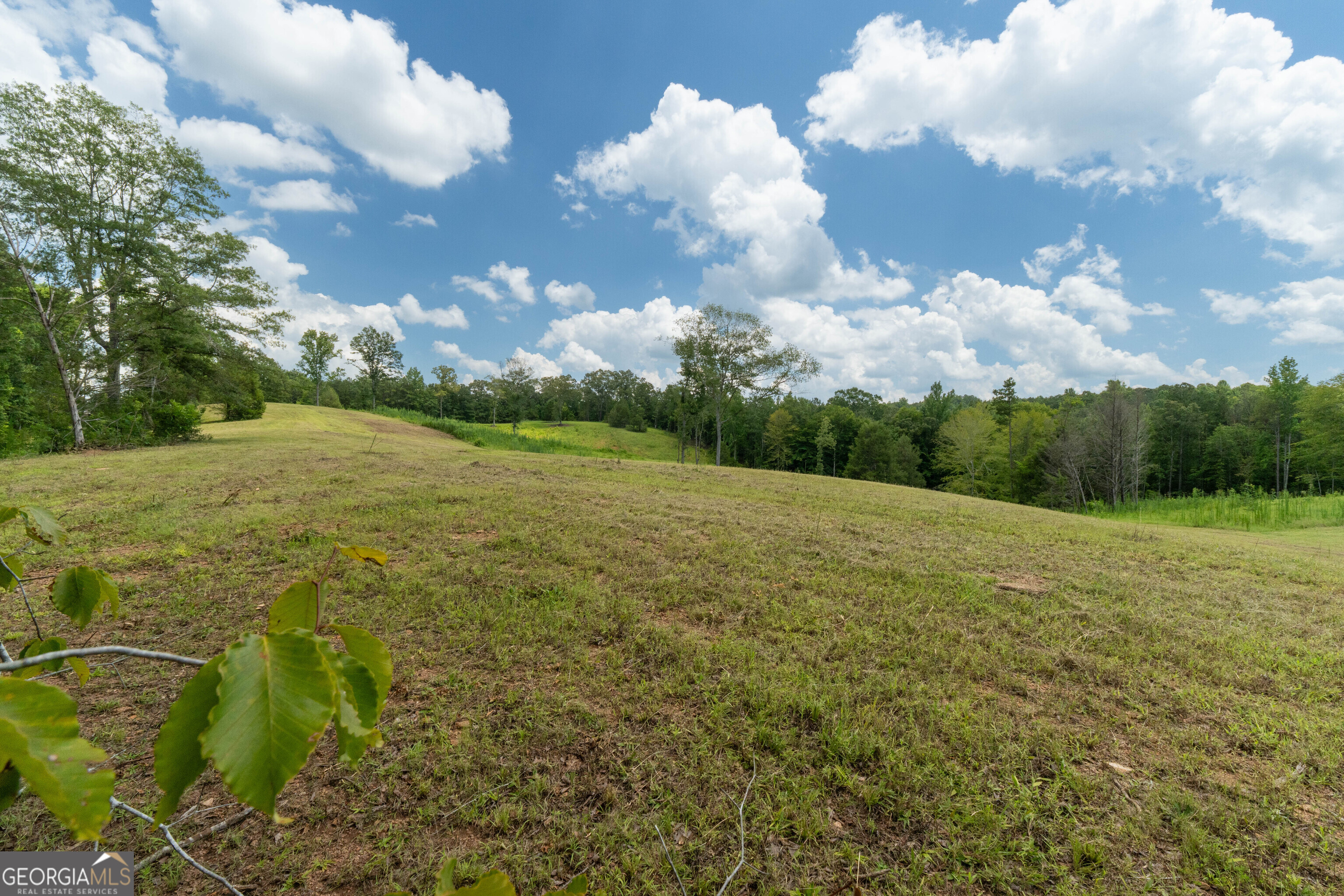 1310 County Road 269