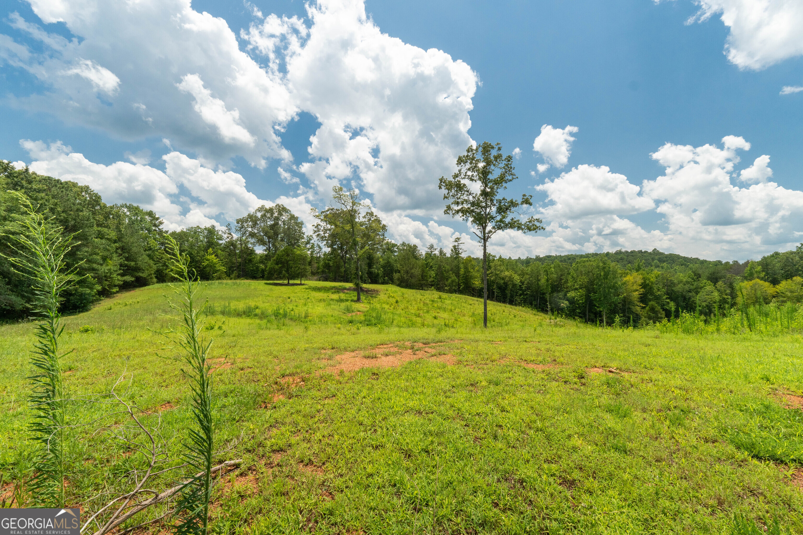 1310 County Road 269