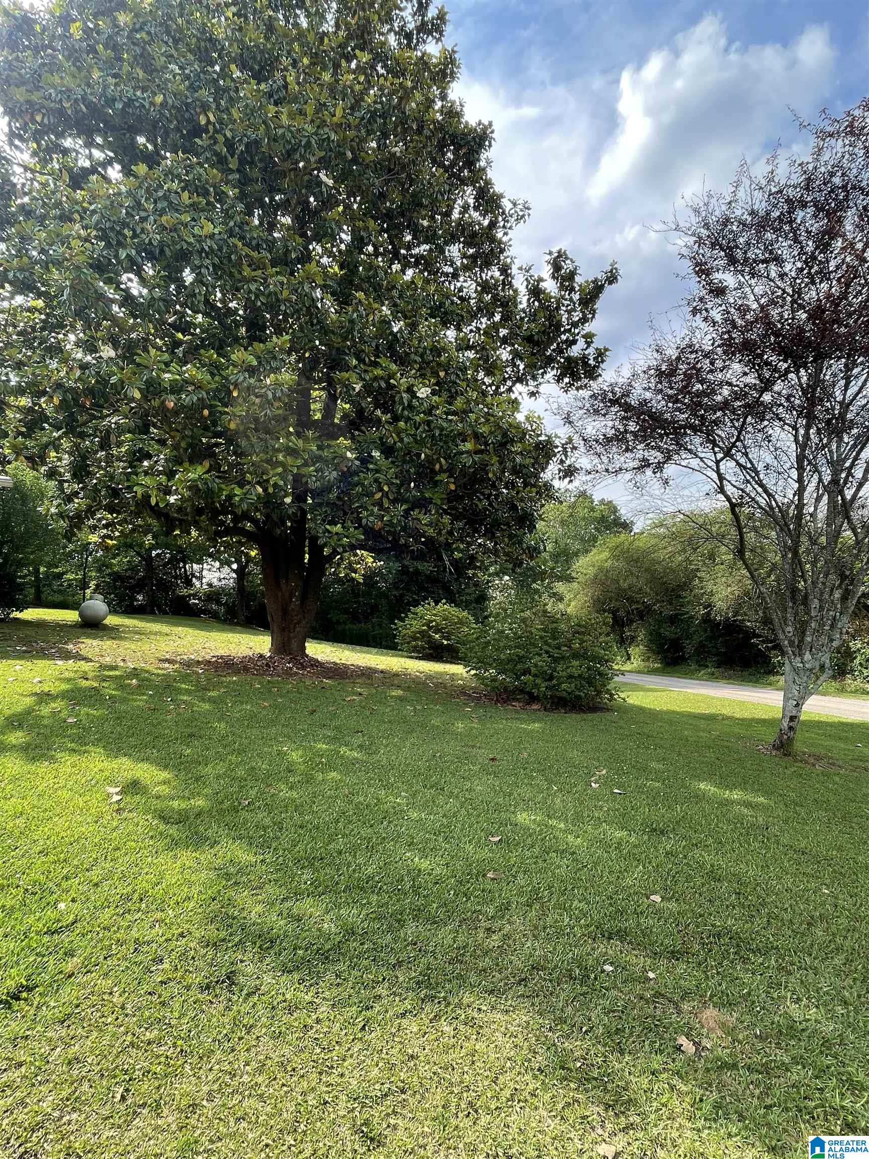 401 COUNTY ROAD 19
