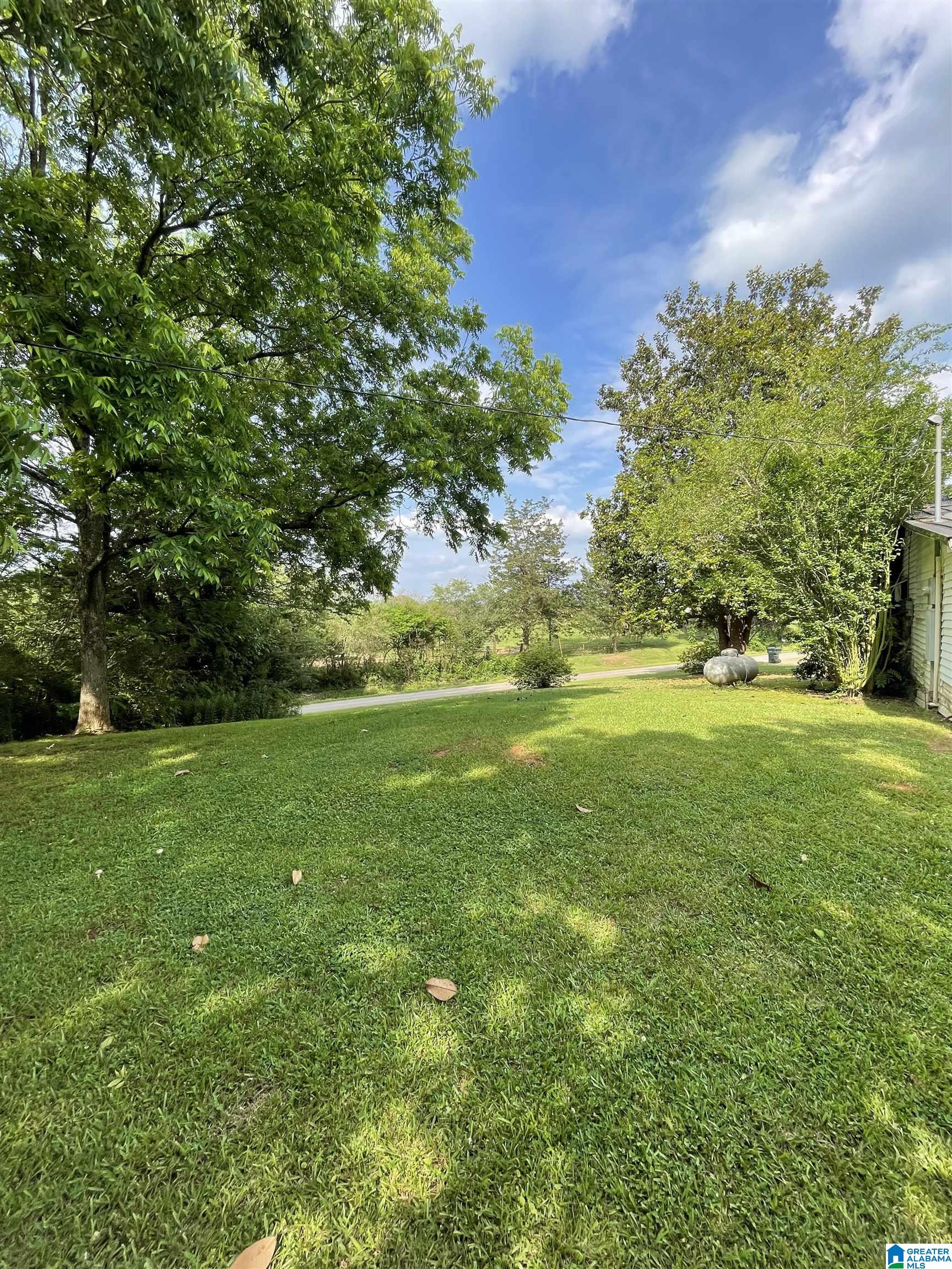 401 COUNTY ROAD 19
