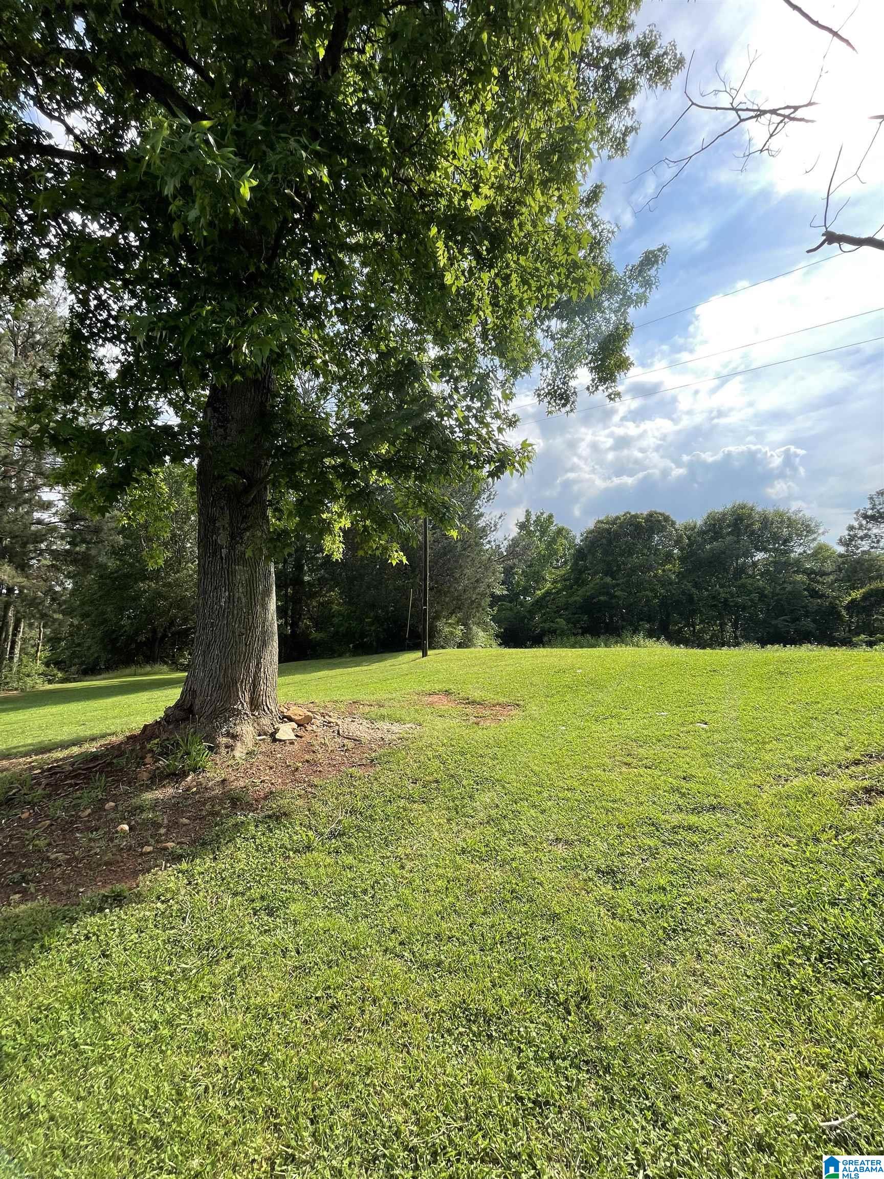 401 COUNTY ROAD 19
