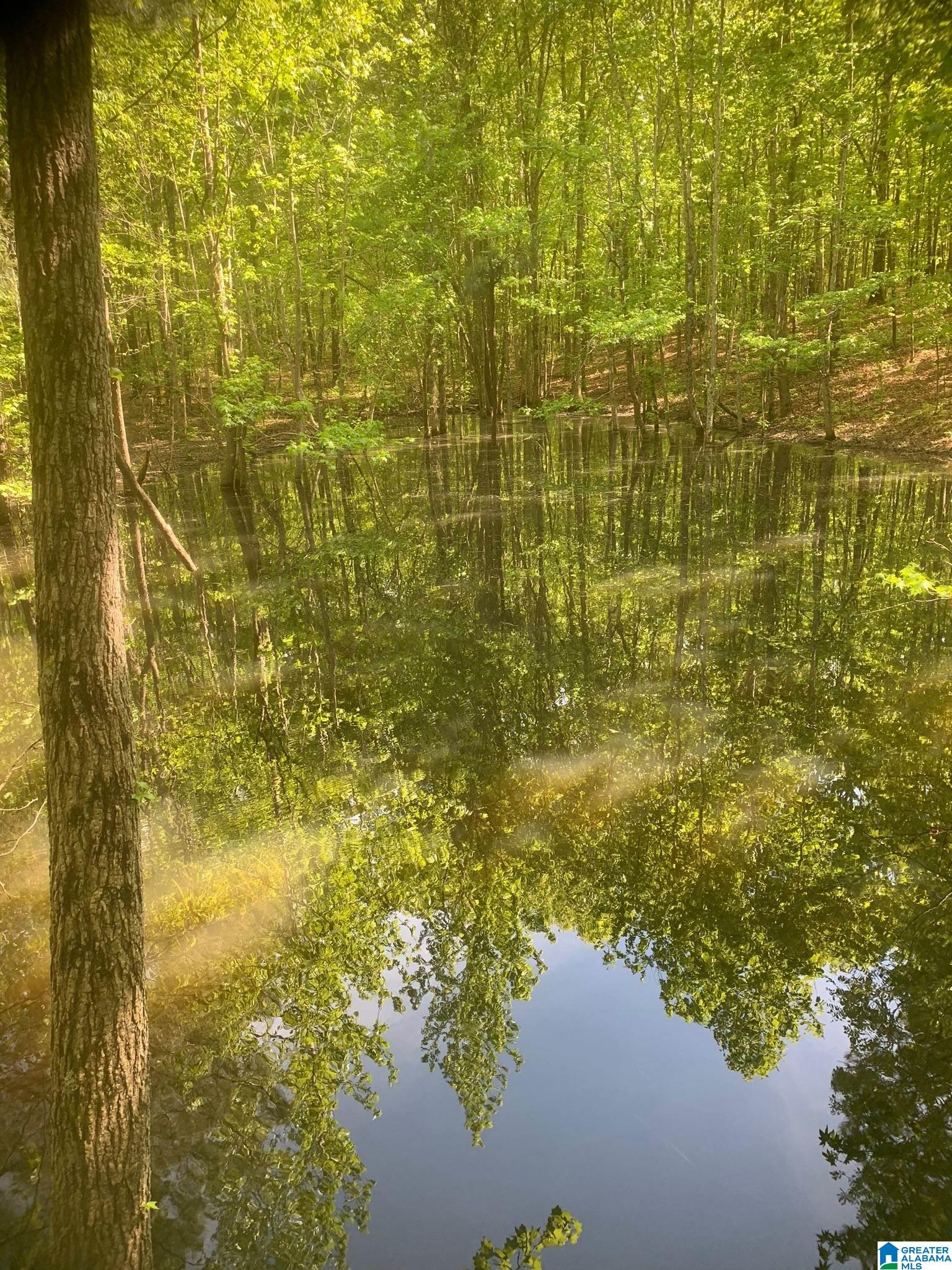 3475 COUNTY ROAD 29 0