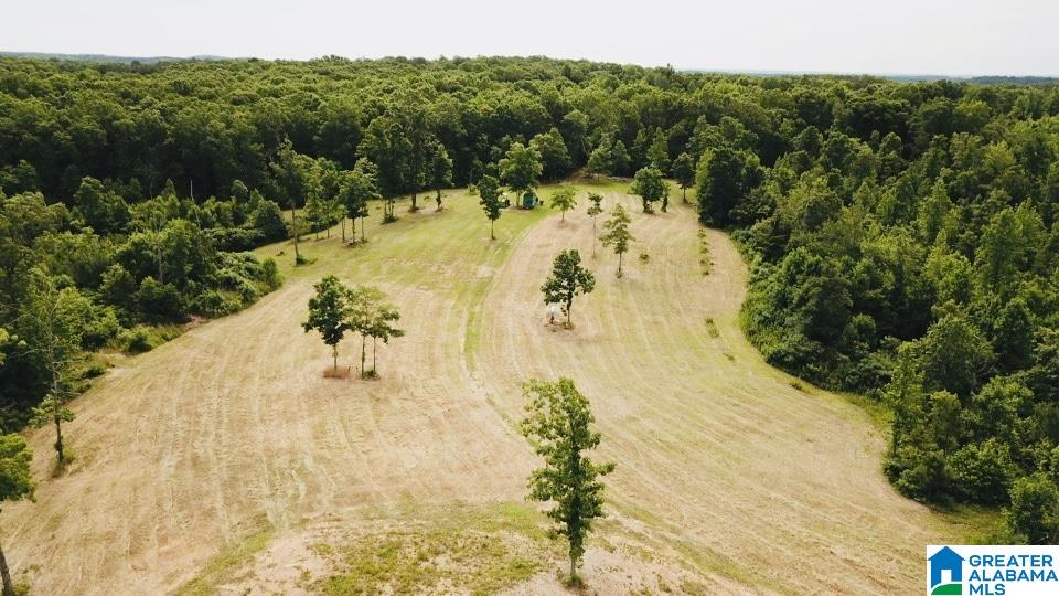 3475 COUNTY ROAD 29 0