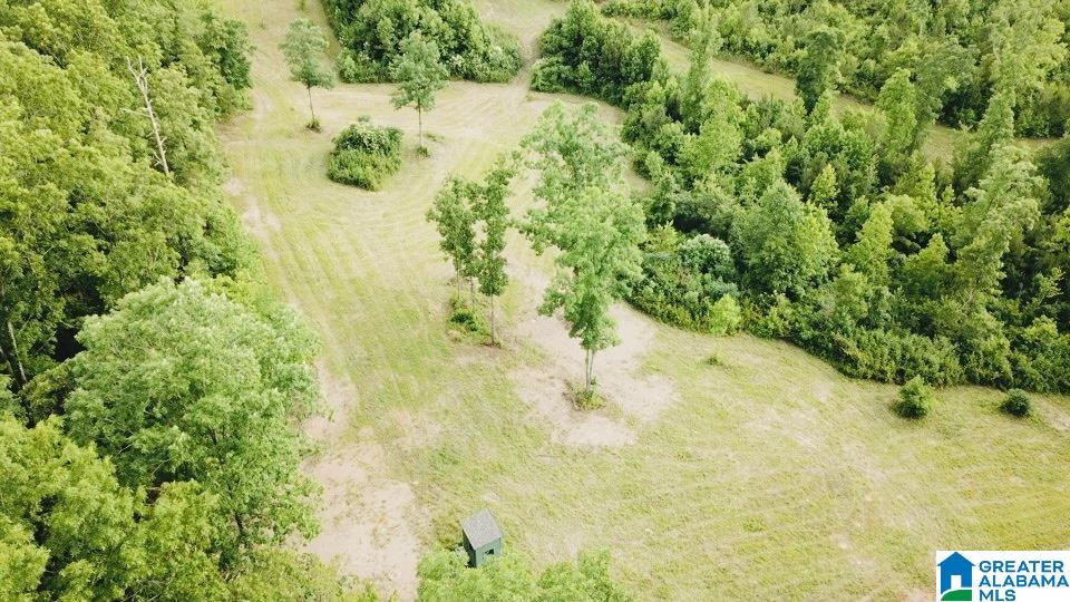 3475 COUNTY ROAD 29 0