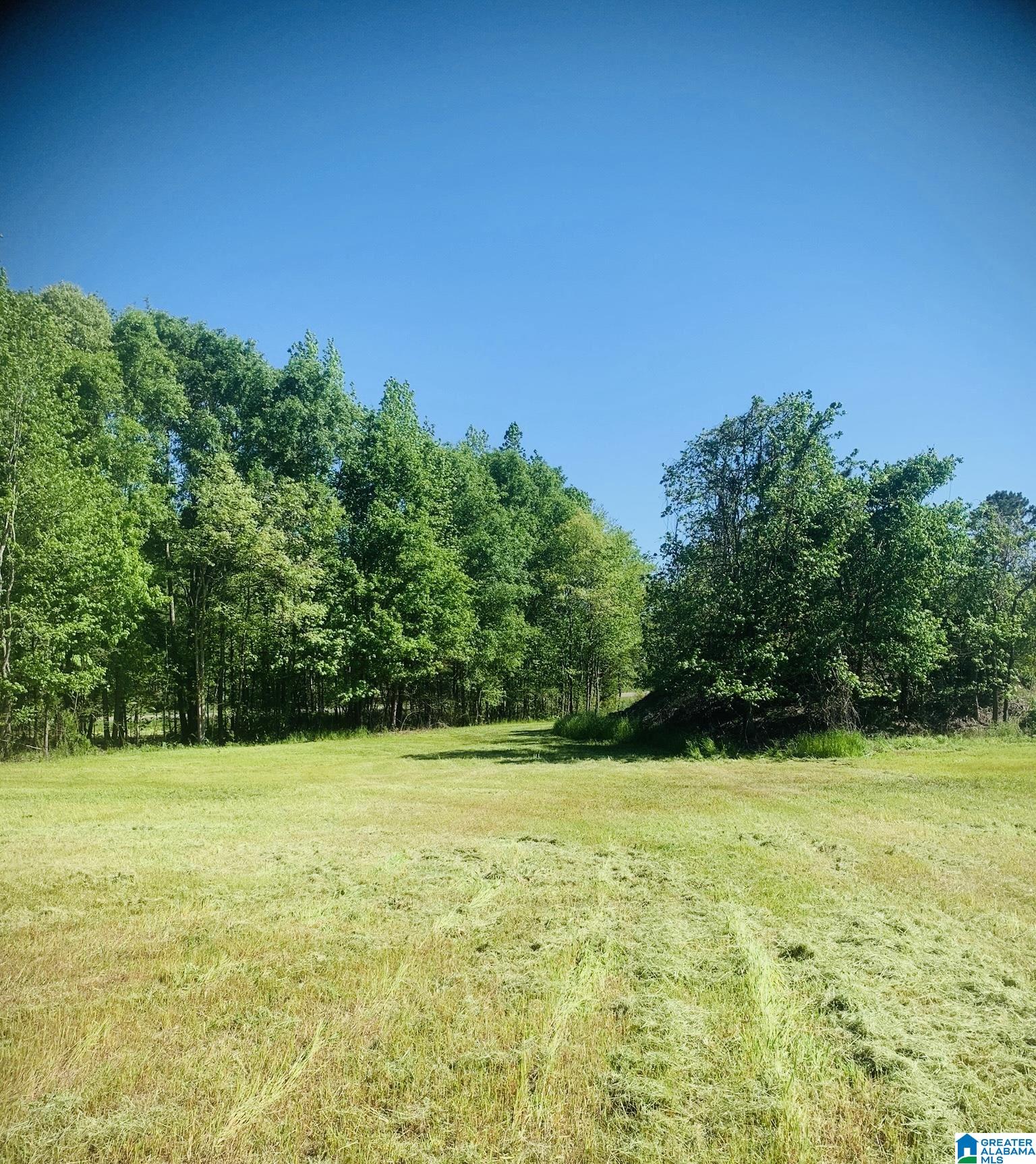 3475 COUNTY ROAD 29 0