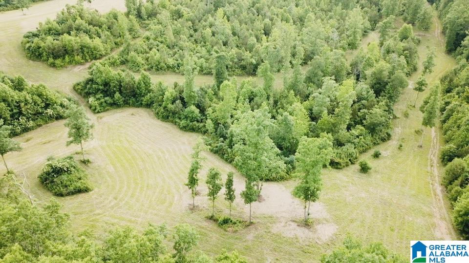 3475 COUNTY ROAD 29 0