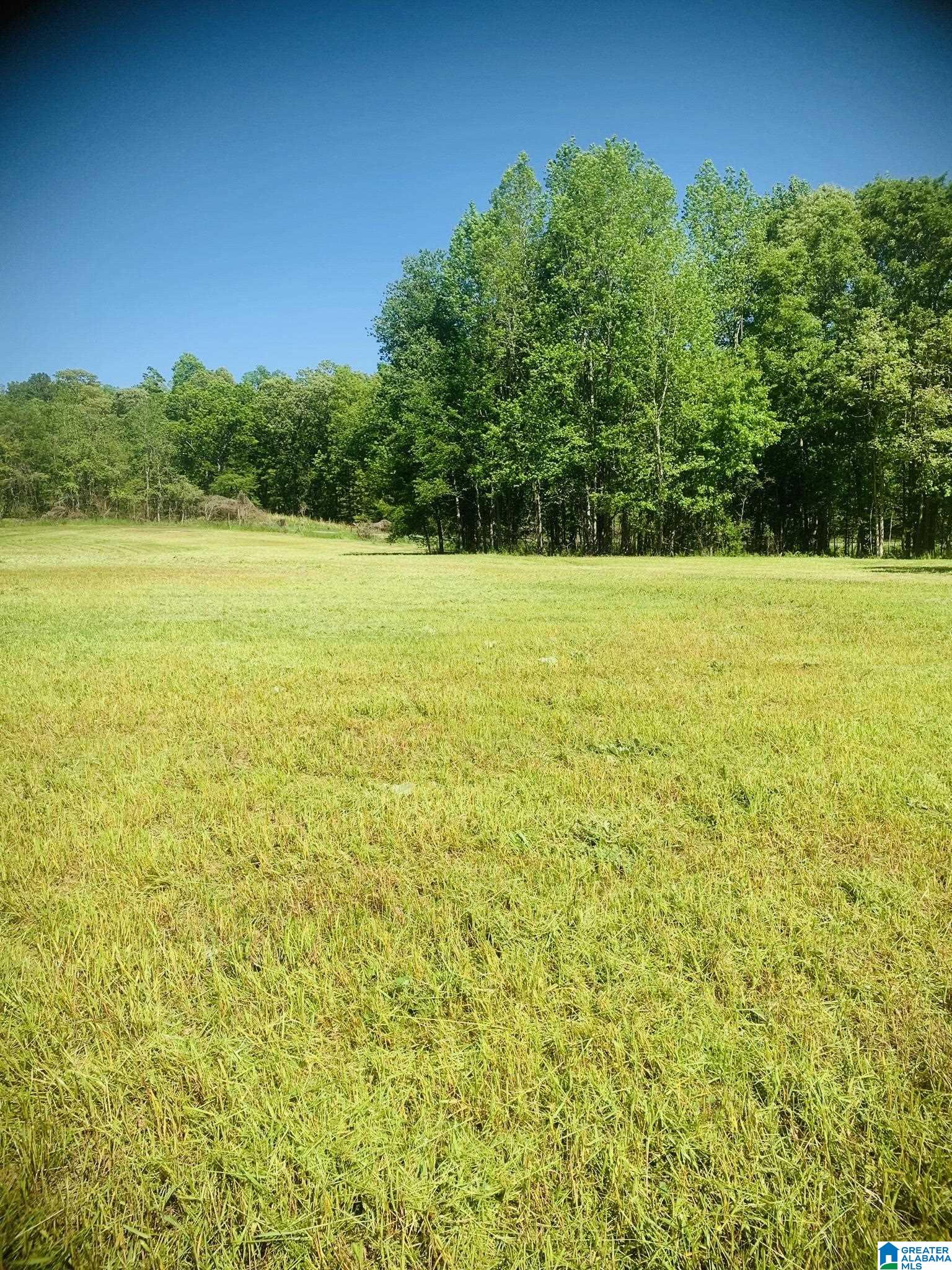 3475 COUNTY ROAD 29 0