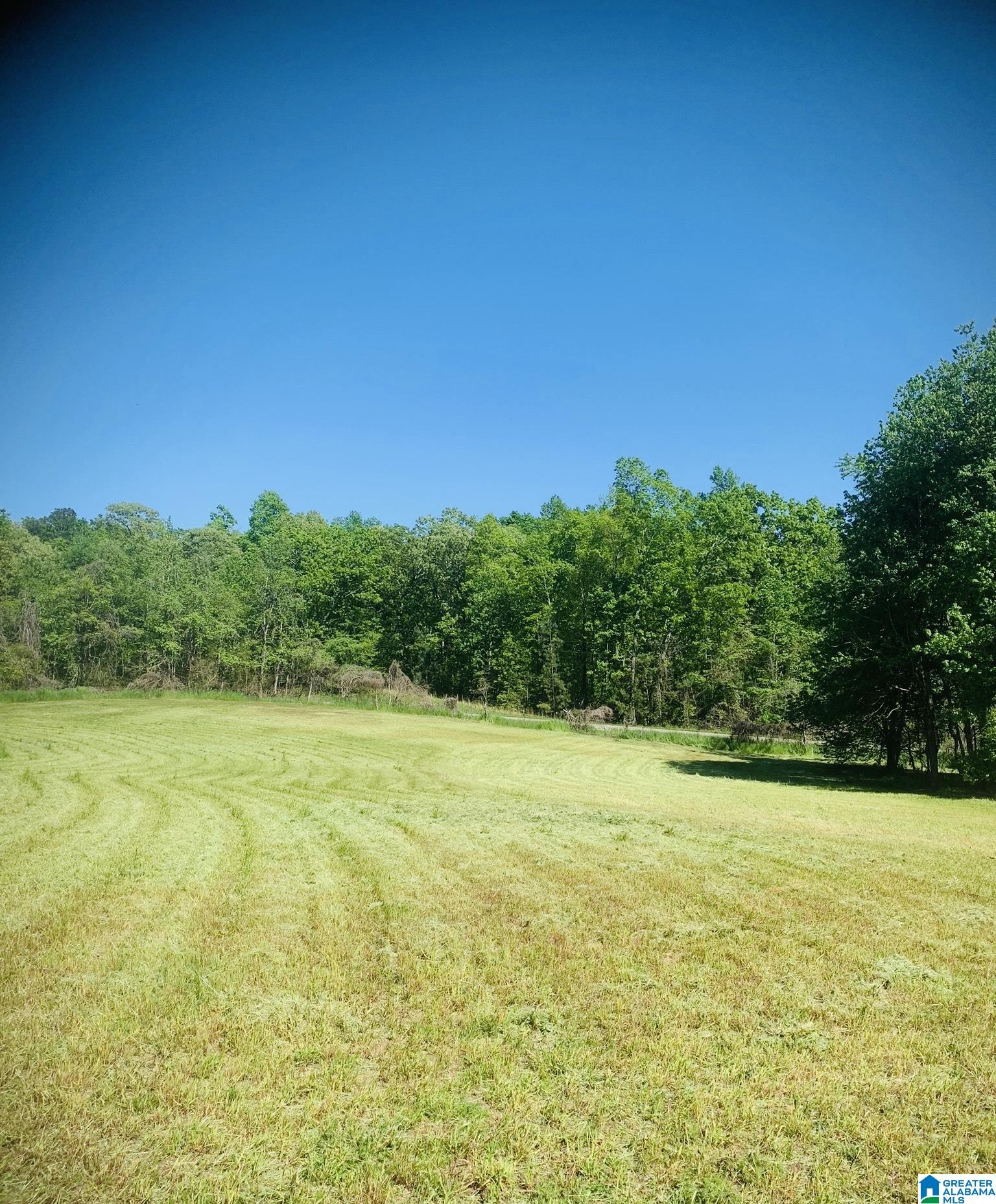 3475 COUNTY ROAD 29 0