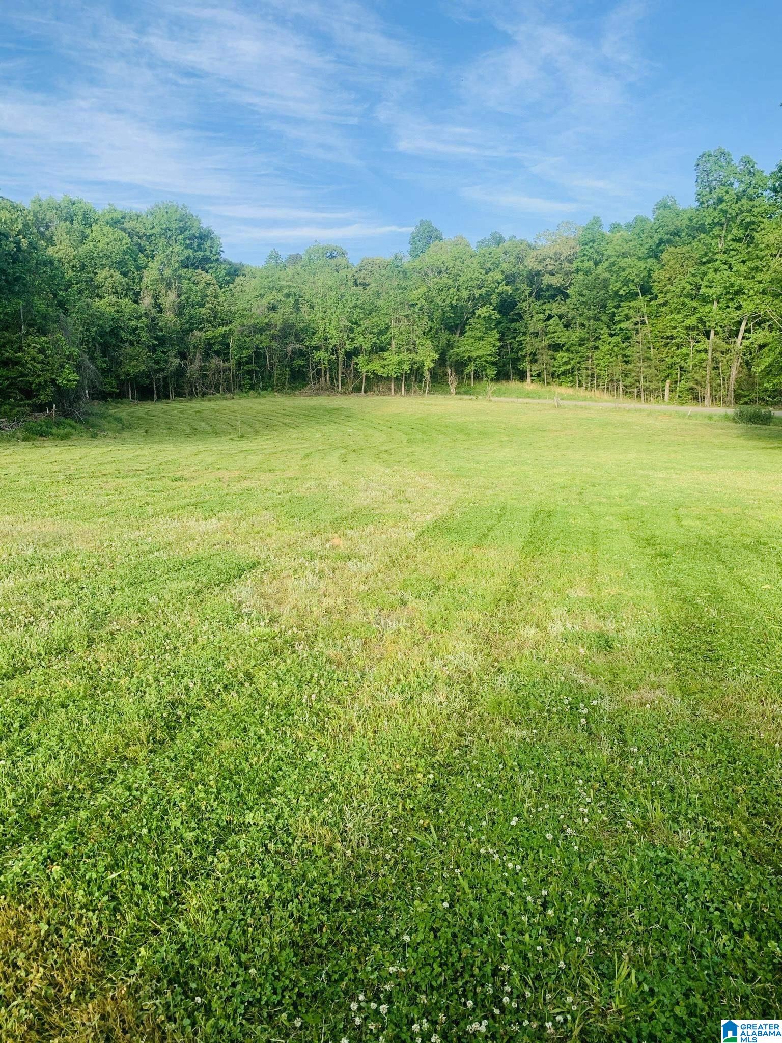 3475 COUNTY ROAD 29 0