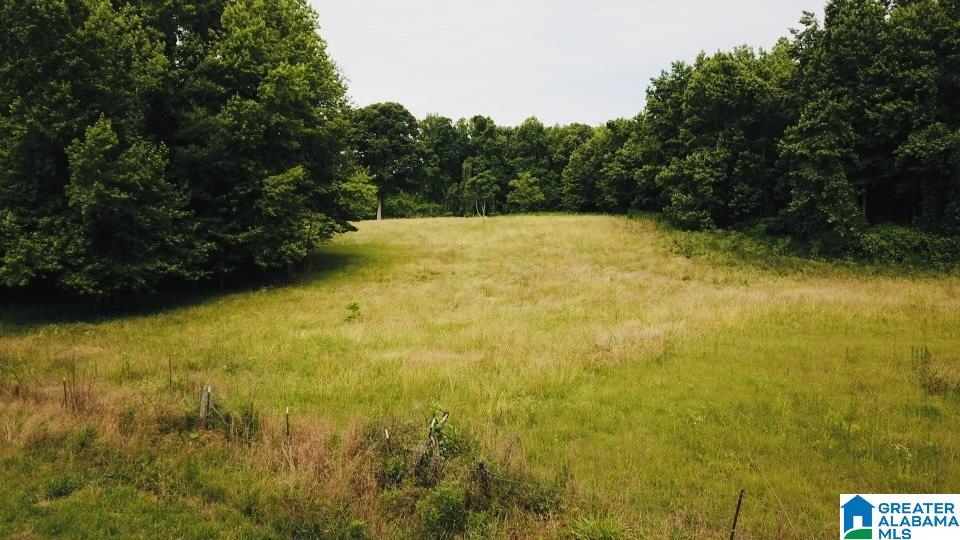 3475 COUNTY ROAD 29 0