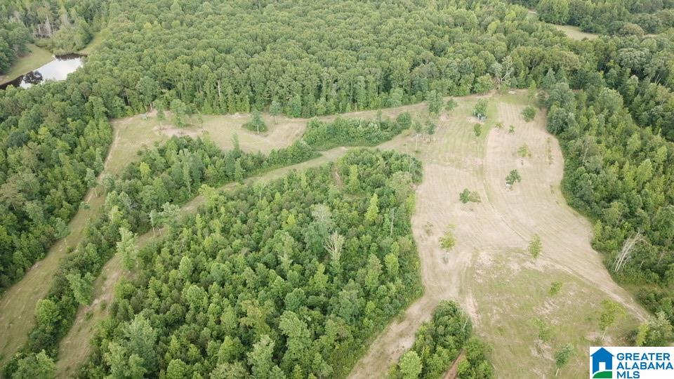 3475 COUNTY ROAD 29 0