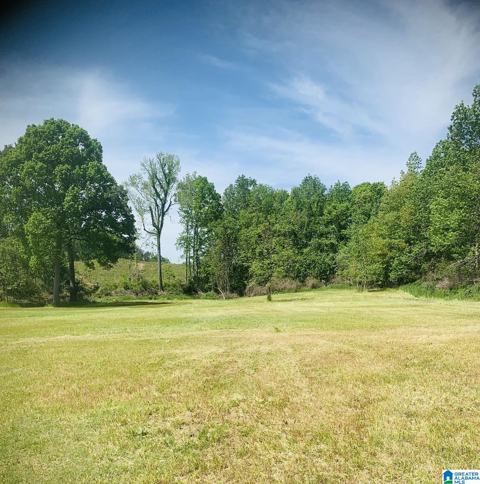 3475 COUNTY ROAD 29 0