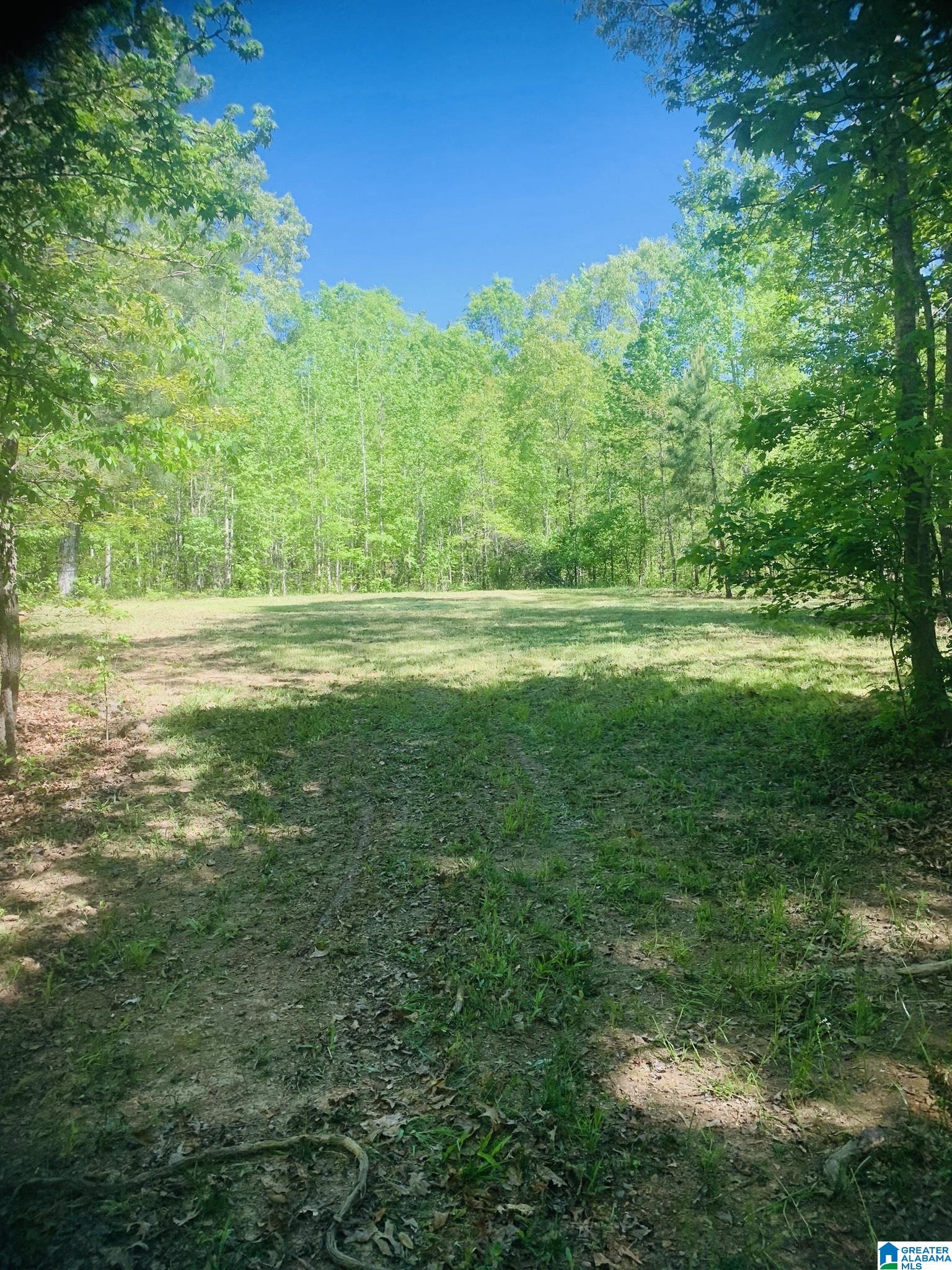 3475 COUNTY ROAD 29 0