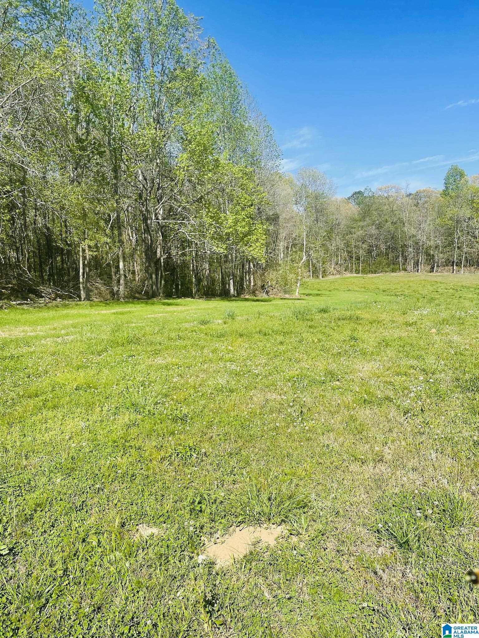 3475 COUNTY ROAD 29 0