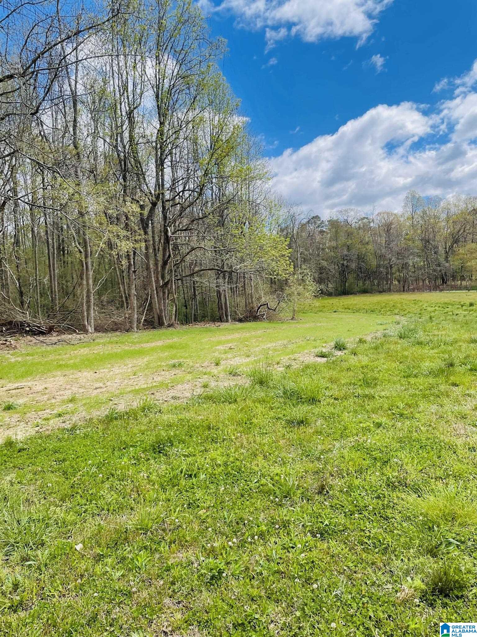 3475 COUNTY ROAD 29 0