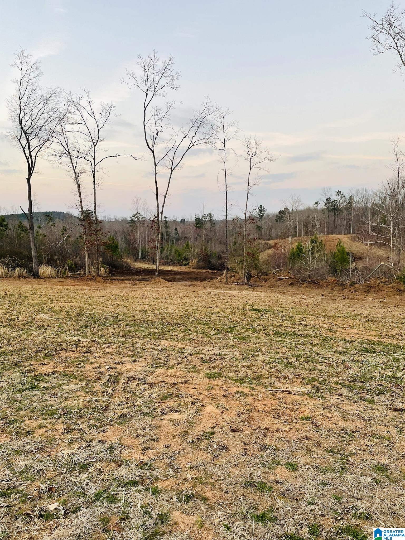 3475 COUNTY ROAD 29 0