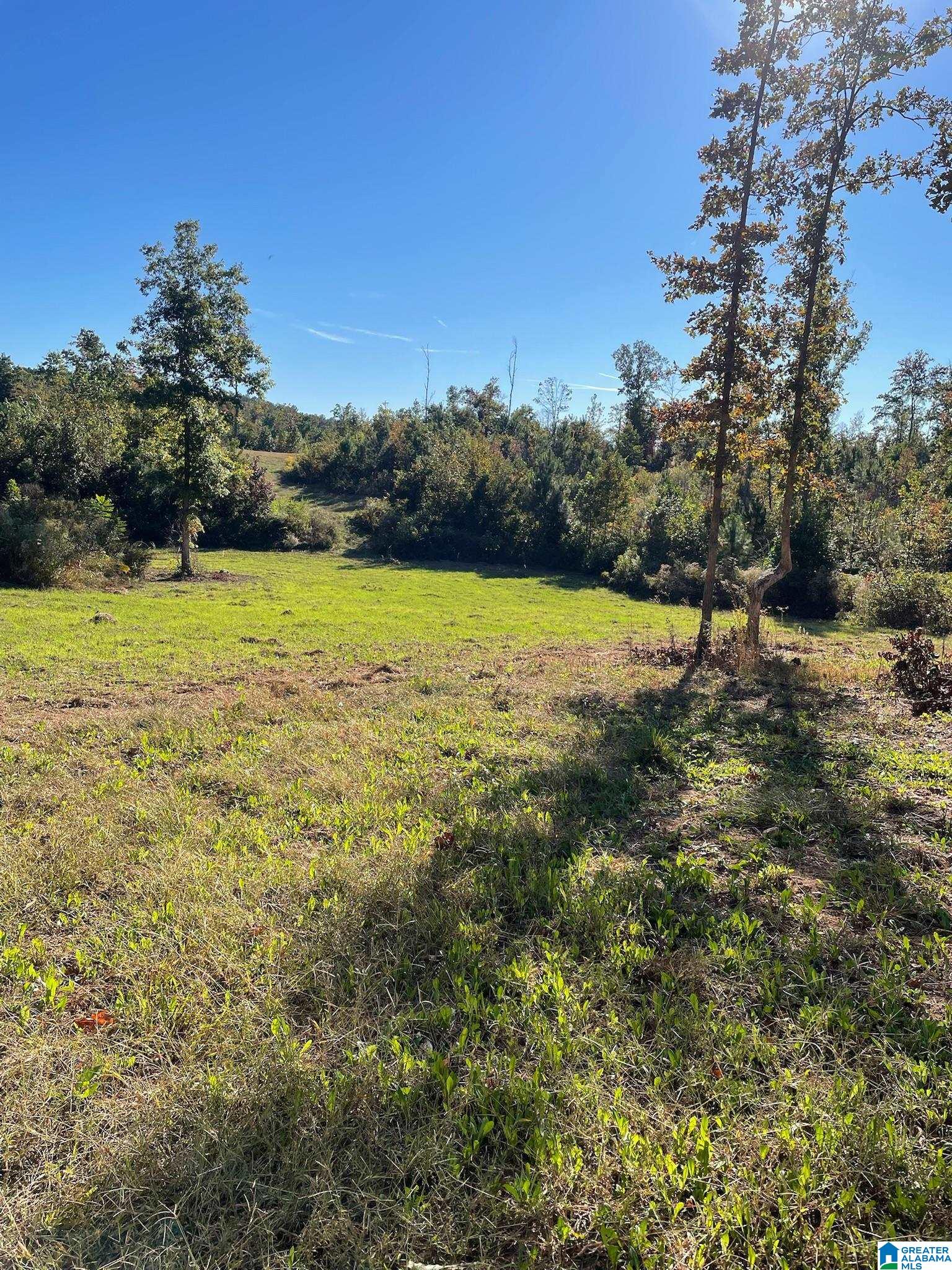 3475 COUNTY ROAD 29 0