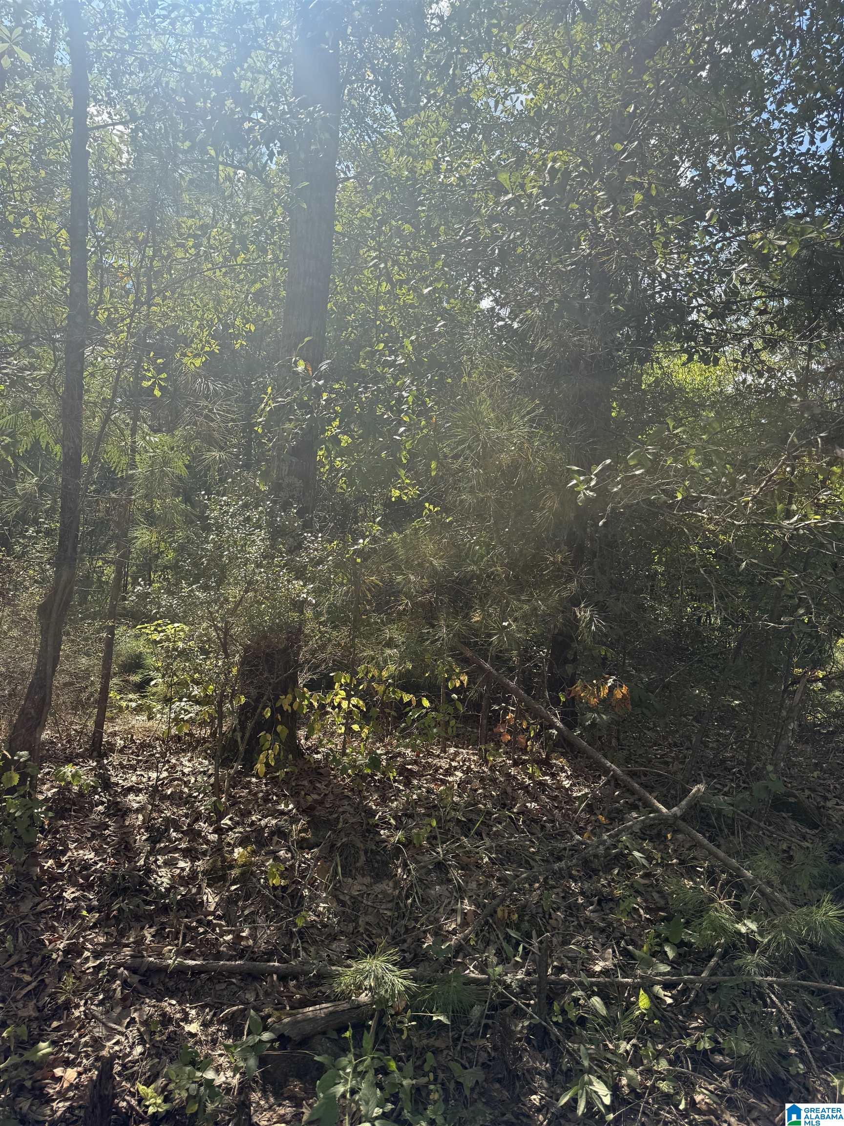 Lot 45 COUNTY ROAD 264 45