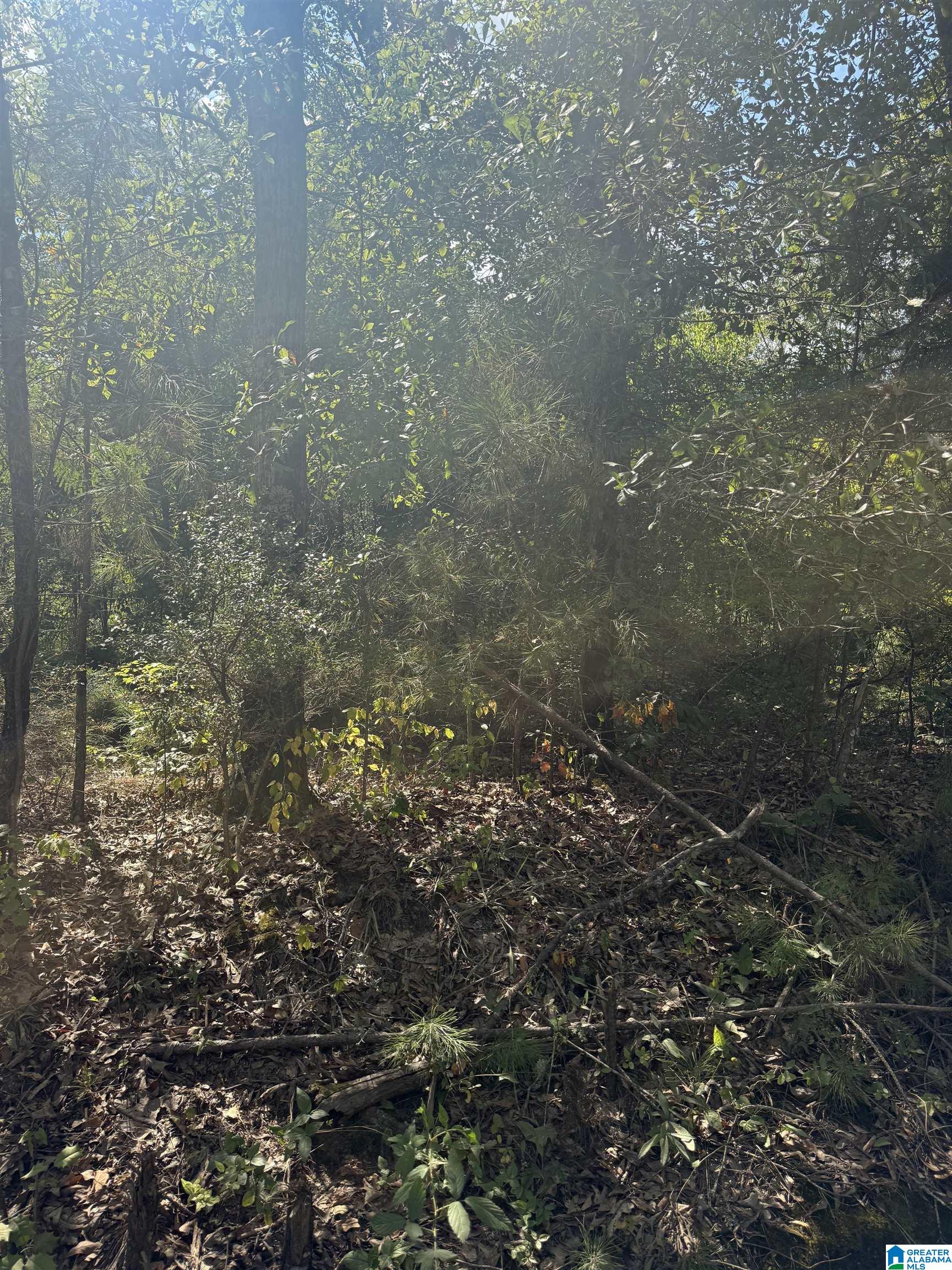 Lot 45 COUNTY ROAD 264 45