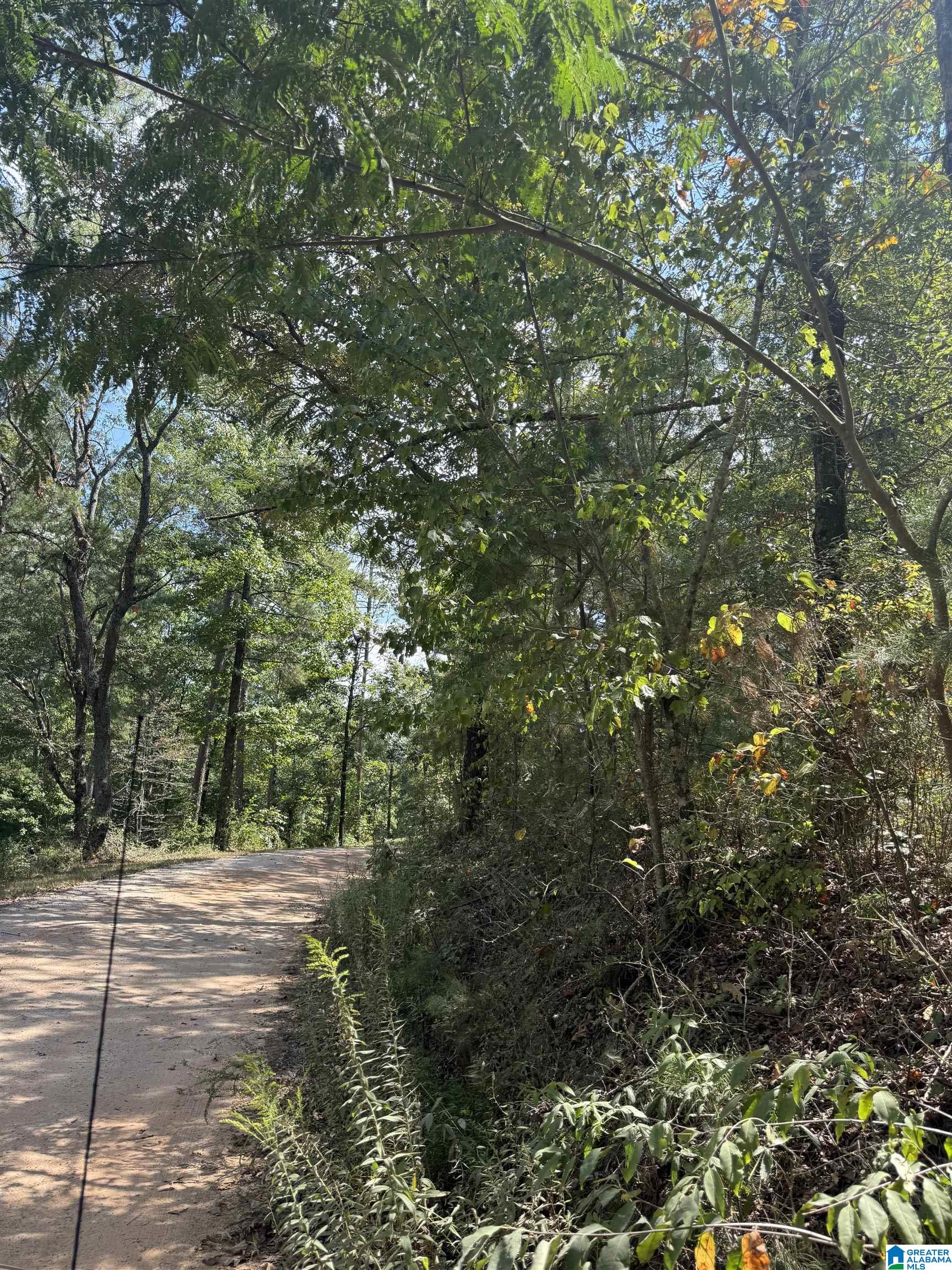 Lot 47 COUNTY ROAD 264 47