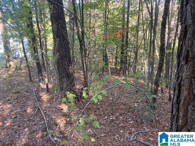 DOGWOOD RIDGE 56