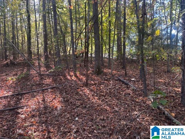 DOGWOOD RIDGE 56