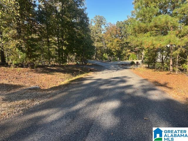 DOGWOOD RIDGE 56