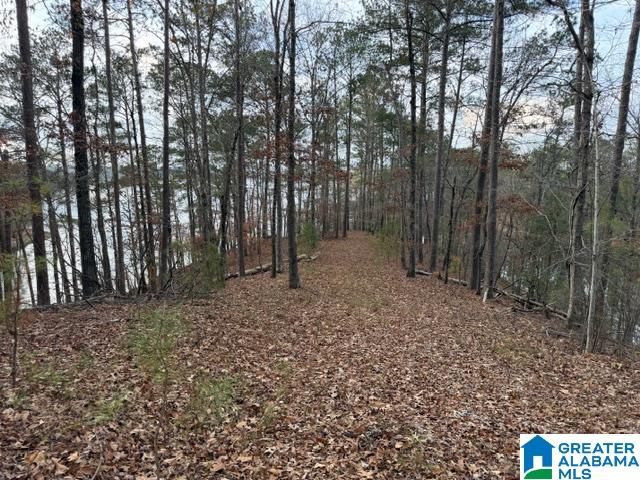 01 COUNTY ROAD 804 1
