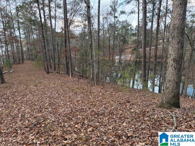 01 COUNTY ROAD 804 1