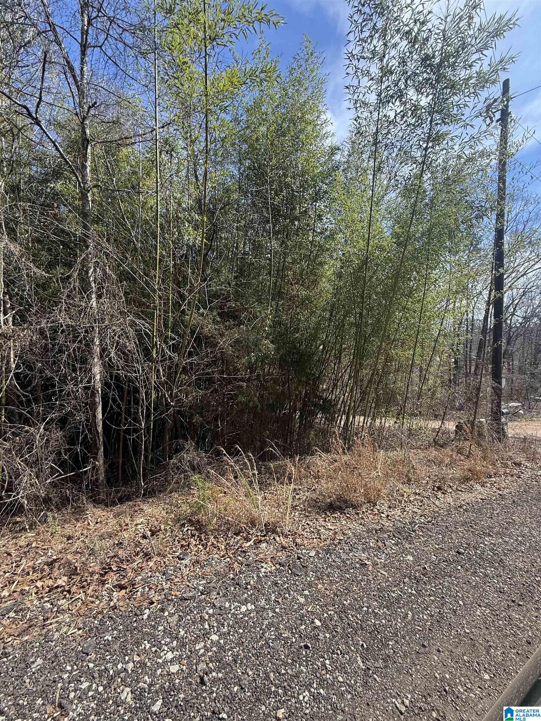 0 COUNTY ROAD 264 12