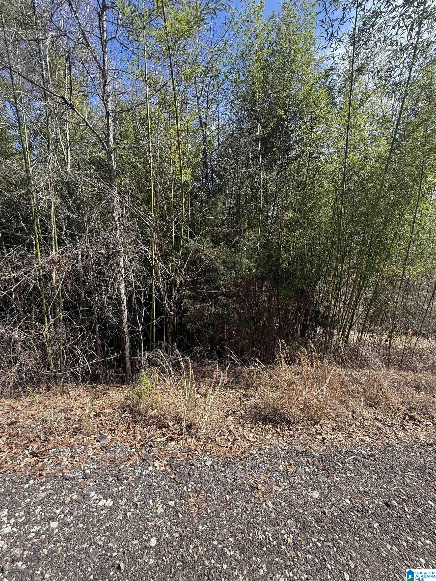 0 COUNTY ROAD 264 12