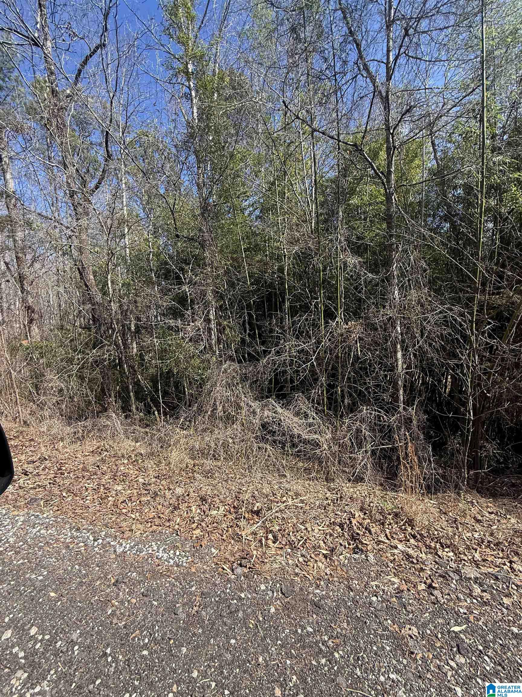 0 COUNTY ROAD 264 12