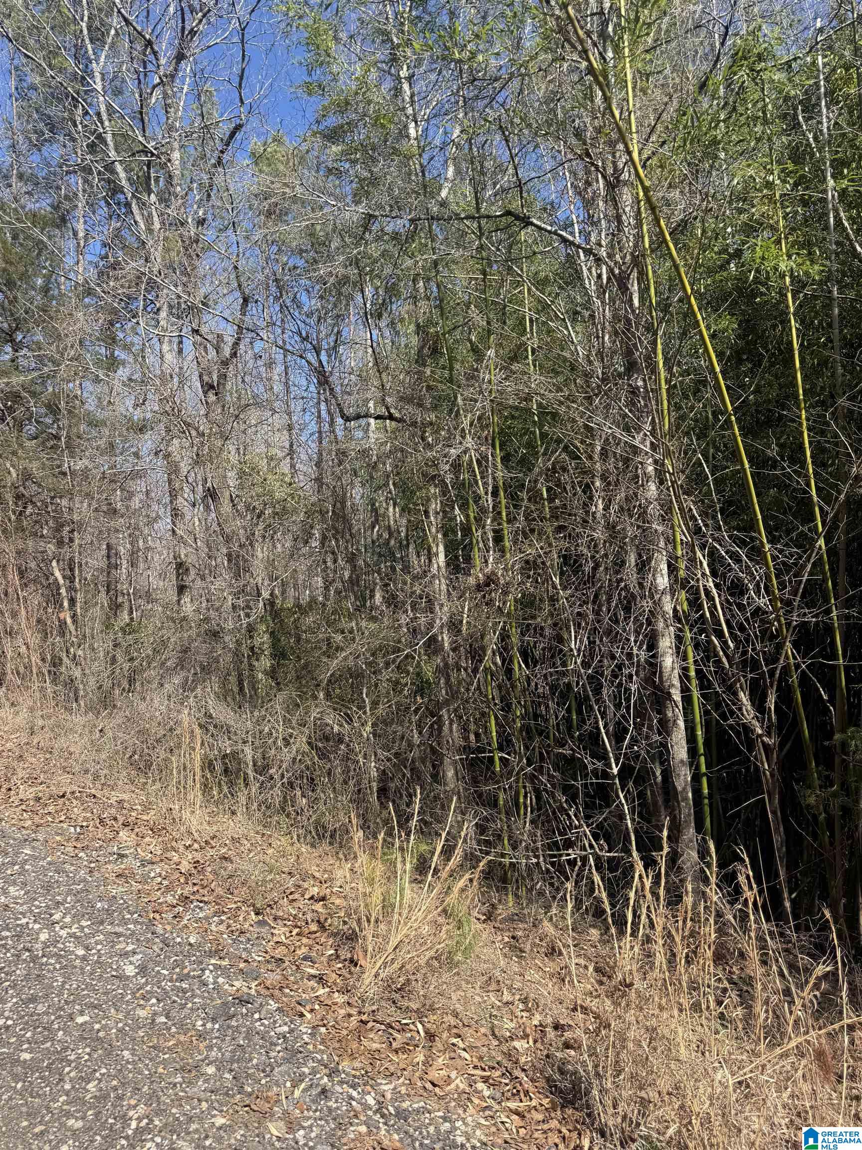 0 COUNTY ROAD 264 12