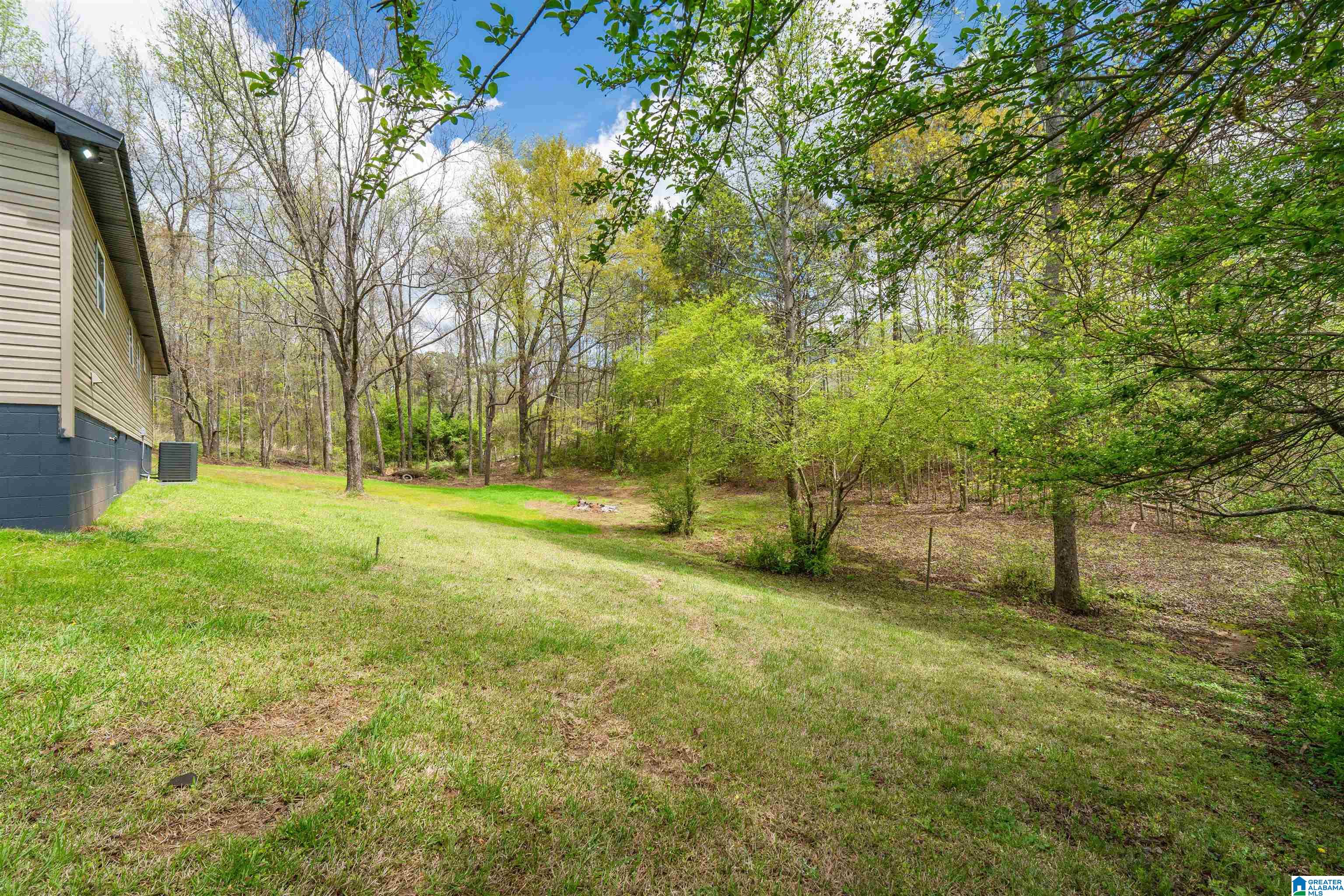 10120 COUNTY ROAD 65