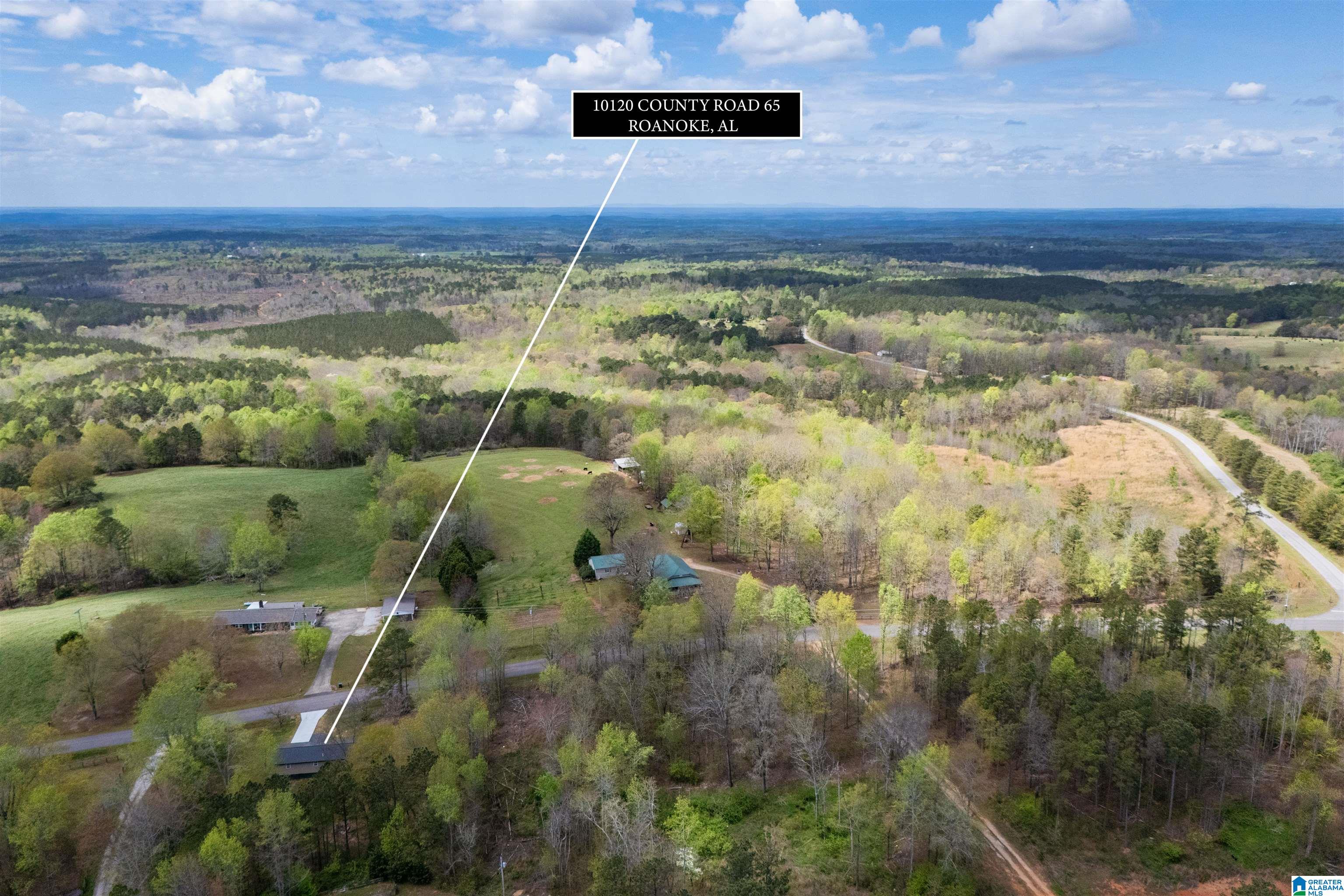 10120 COUNTY ROAD 65