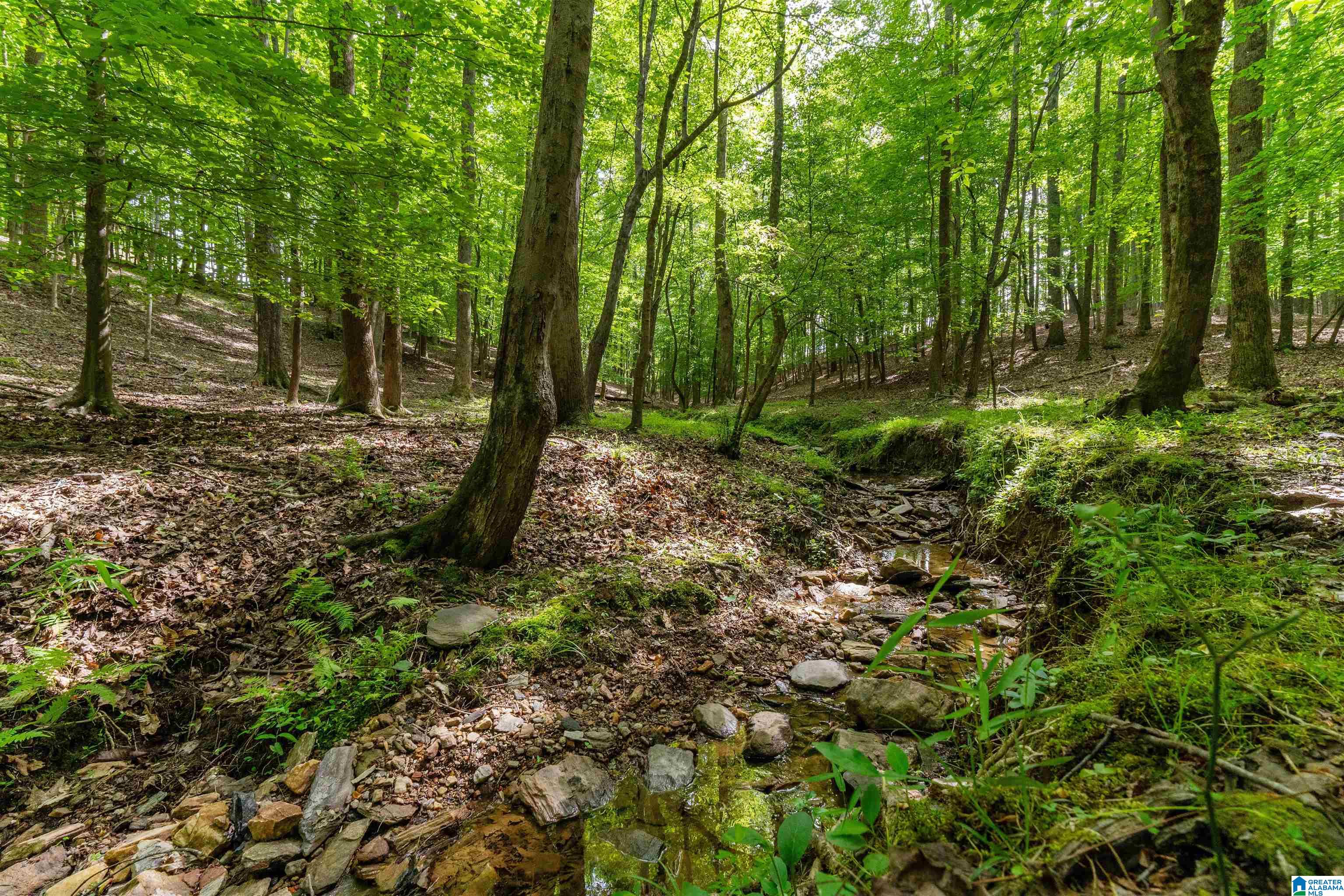 1435 COUNTY ROAD 633