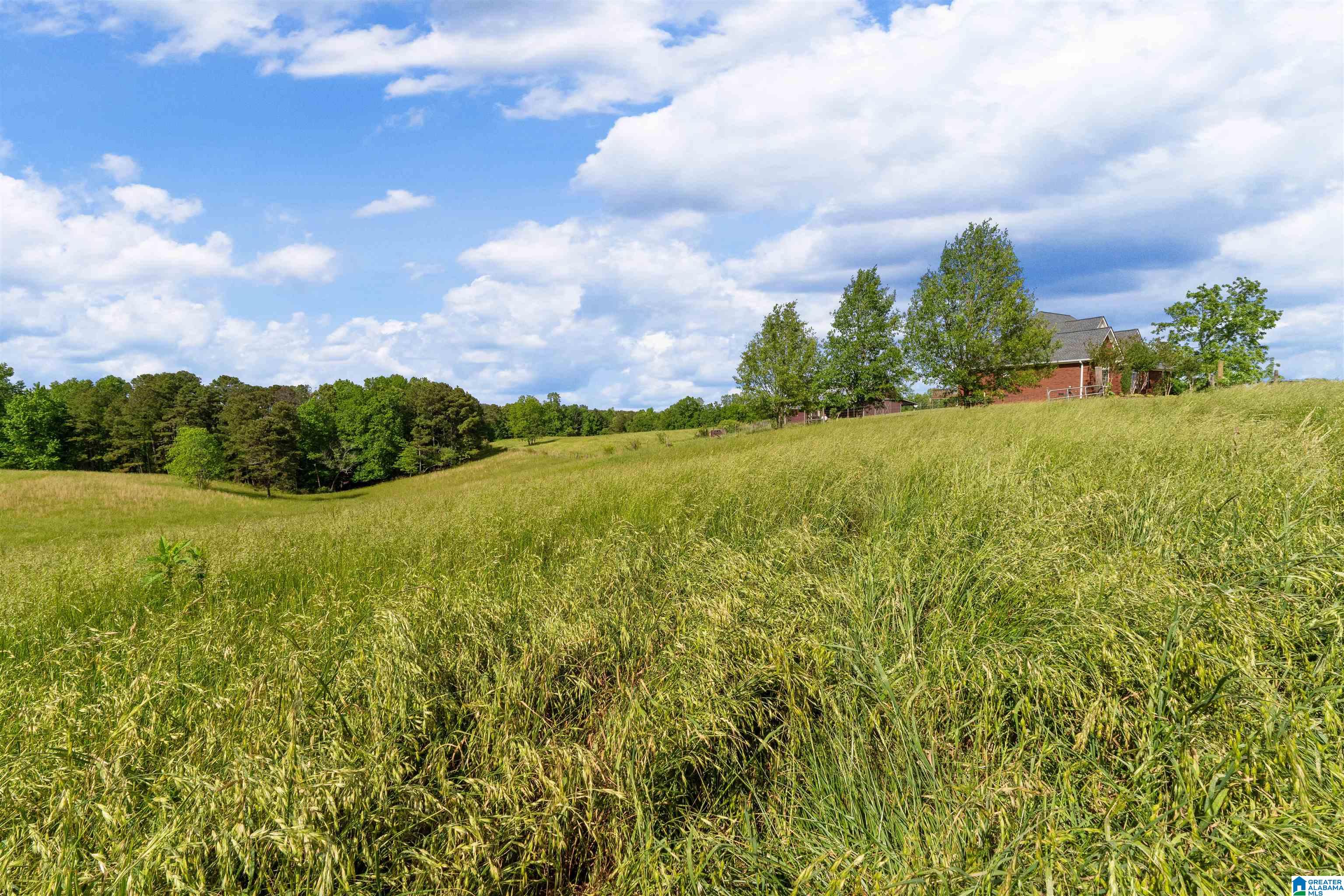 1435 COUNTY ROAD 633